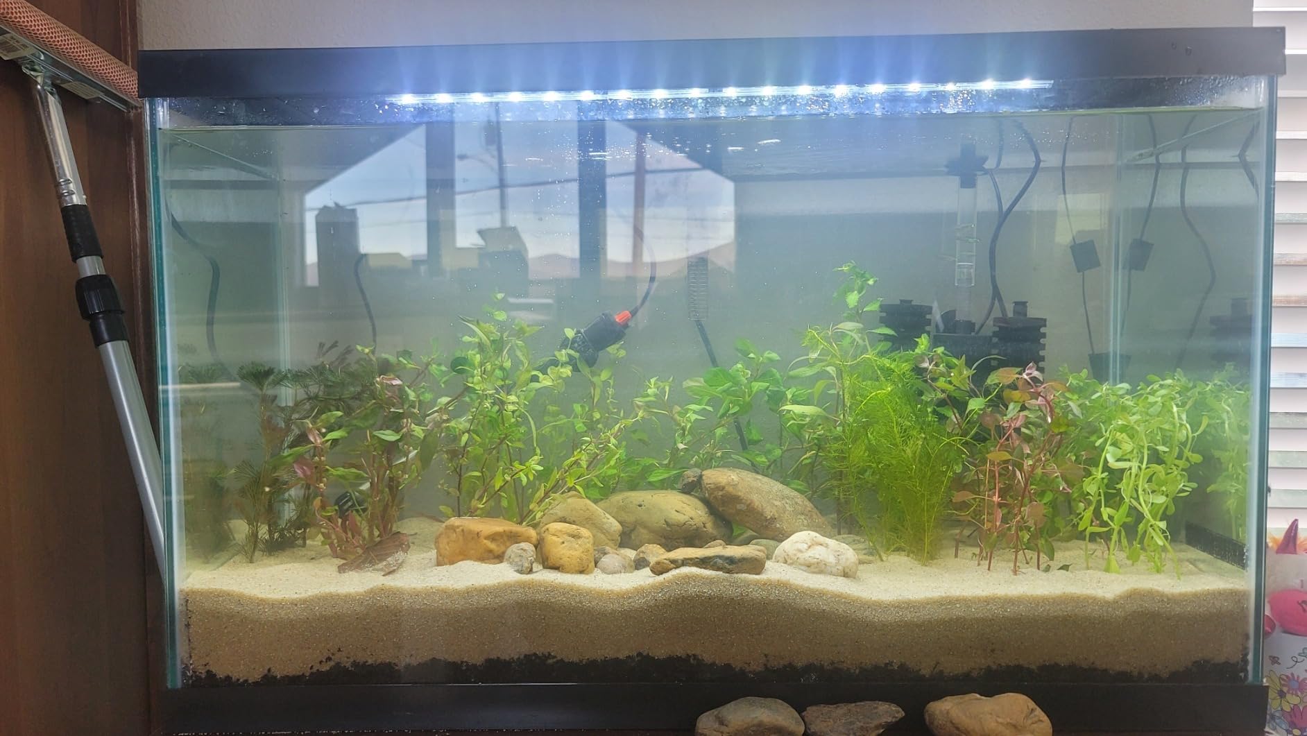 Tetra Complete 29 Gallon Fish Tank Kit for Freshwater & Saltwater Fish customer photo 1