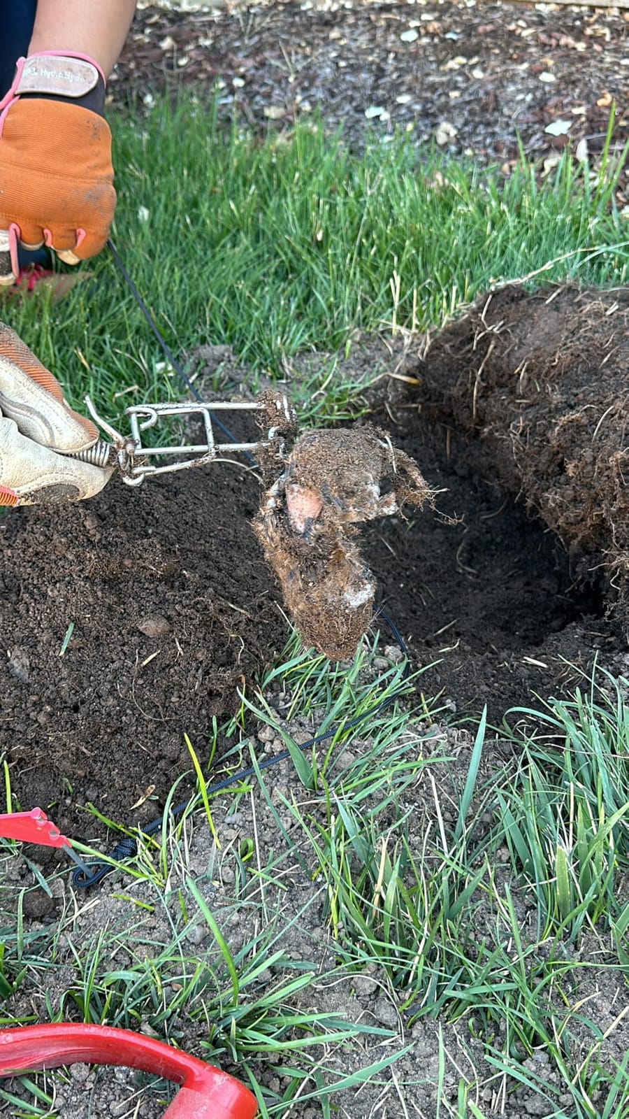 Worlds Best Gopher Trap, New, Stainless Steel, (3 Pack) USA Made! Weatherproof-Reusable, Below Ground, Pocket Gopher Kill Trap, customer photo 1