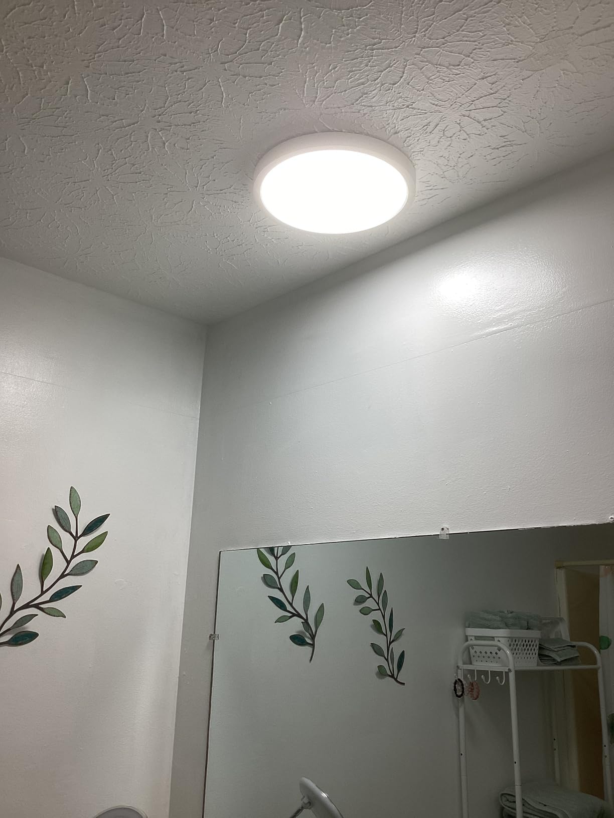 Allsmartlife LED Flush Mount Ceiling Light Fixture, 12inch 24W 2880lm CCT 3000K/4000K/6500K Thin Round Flat Panel Light Surface Mount for Kitchen, Bedroom, Laundry. Dimmable Ceiling Lamp customer photo 1