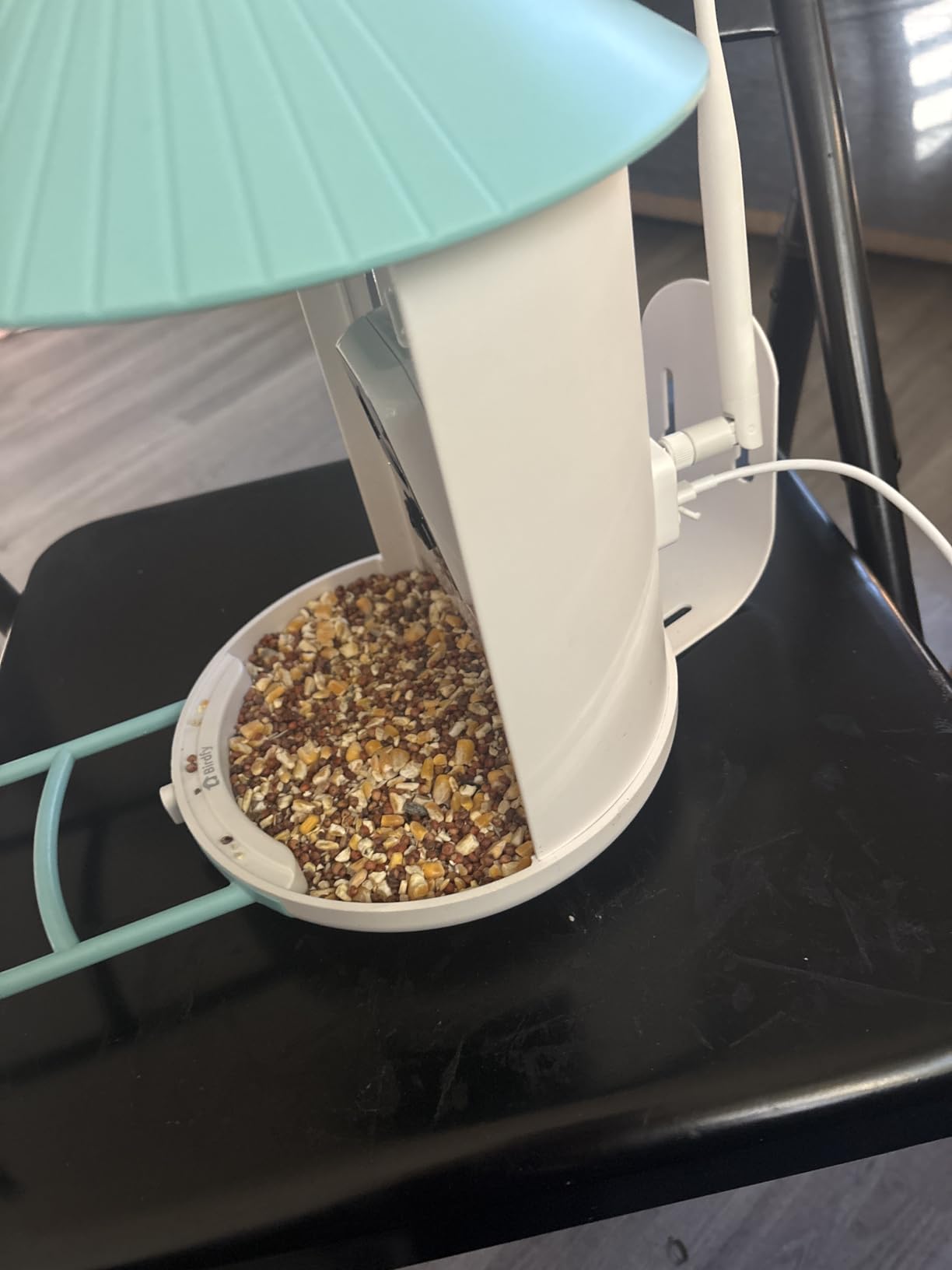 NETVUE by Birdfy Smart Bird Feeder with 2K AI Camera customer photo 1