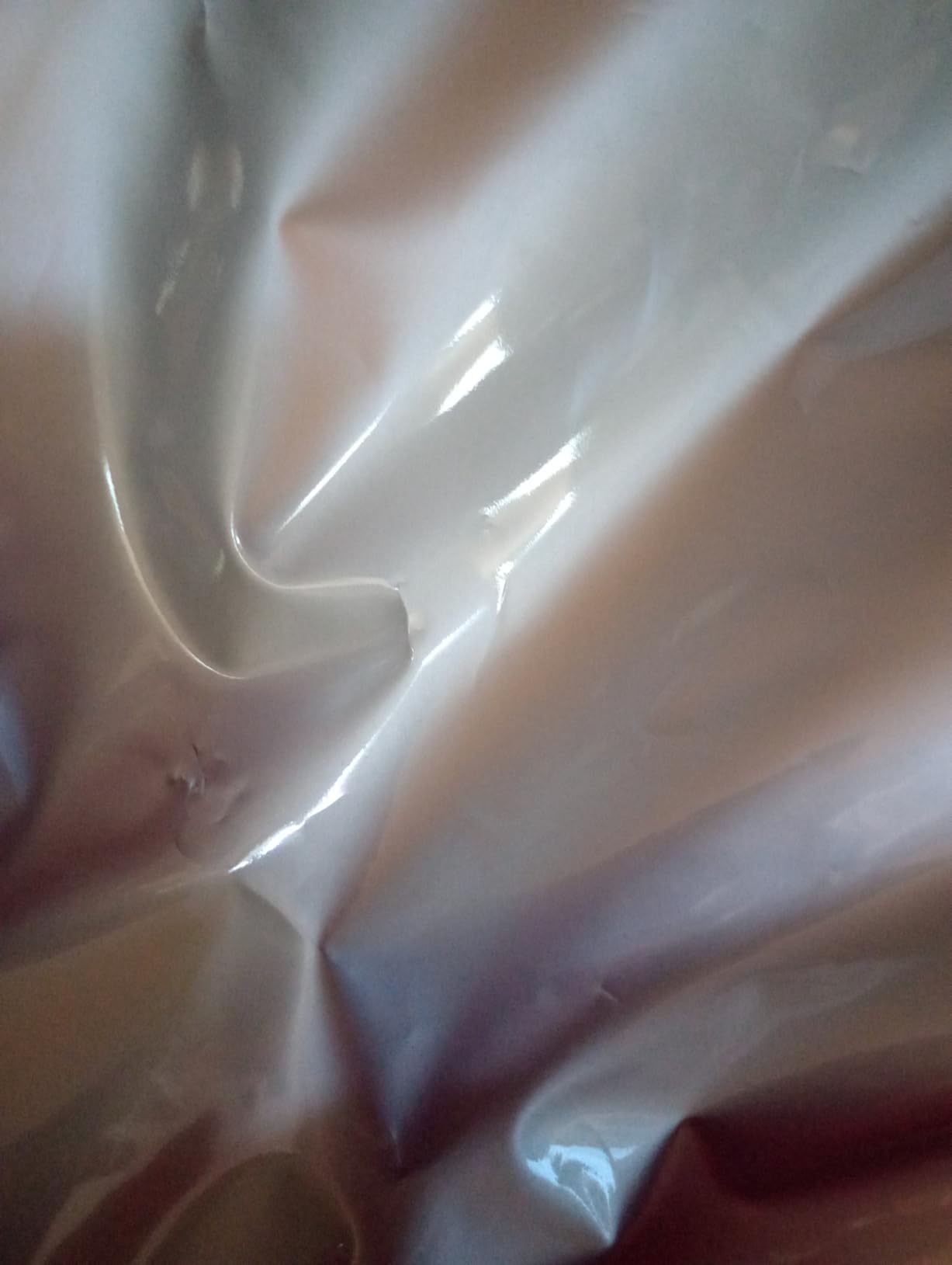 15 Mil 5 Gallon Mylar Bags for Food Storage with 2500cc Oxygen Absorbers customer photo 1