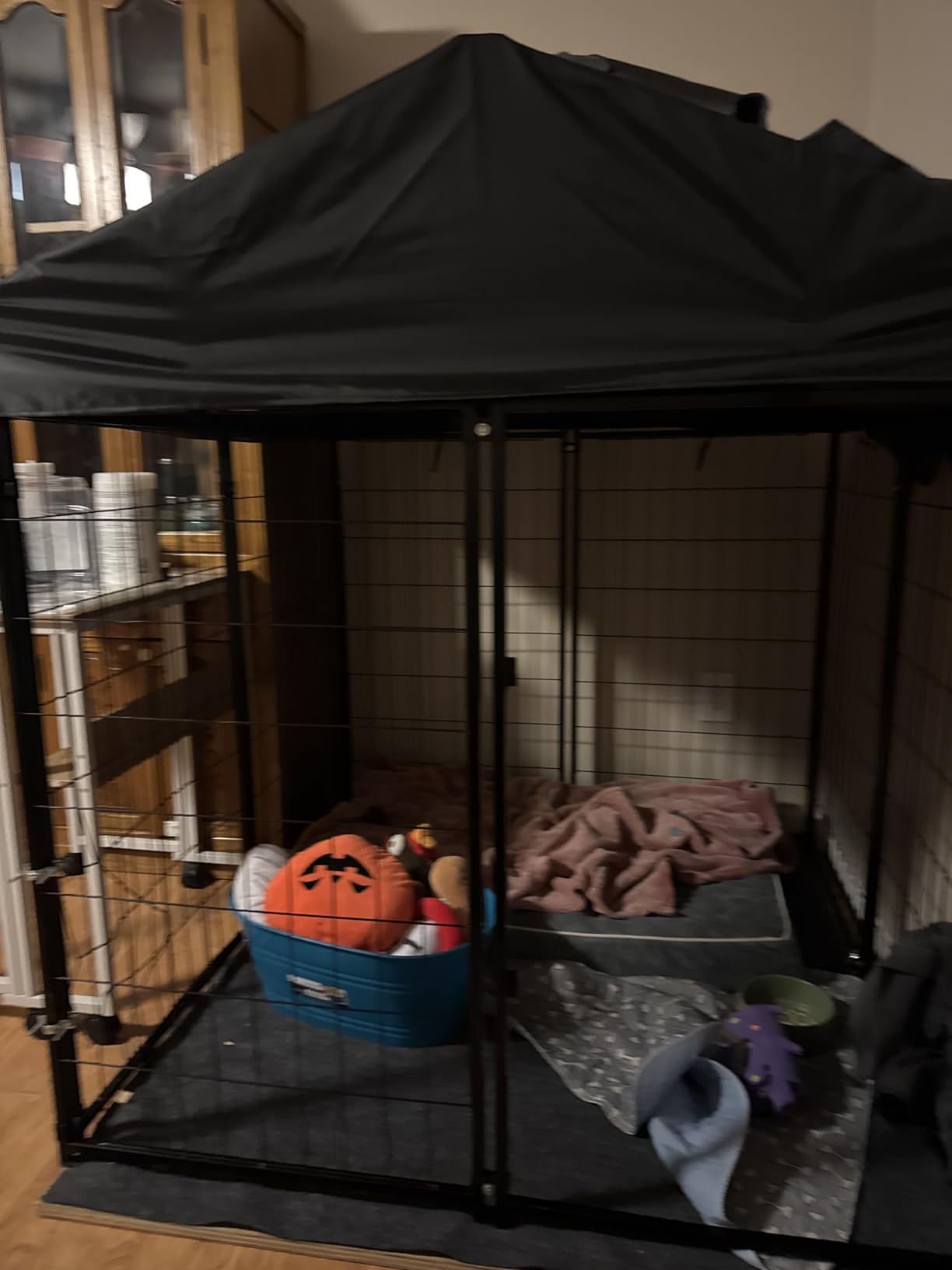 Dog Kennel Outside with Roof, 4'x4'x4.5' Outdoor Dog Kennel customer photo 2
