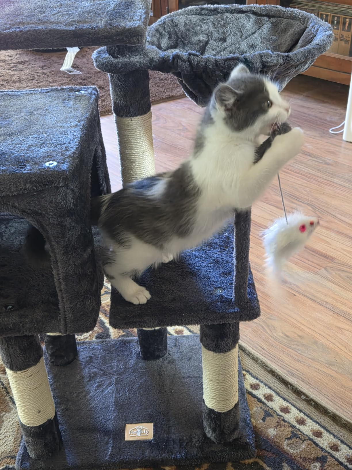 Heybly Cat Tree with Toy, 43.3 inch Cat Tower for Indoor Cats HCT004SG customer photo 1