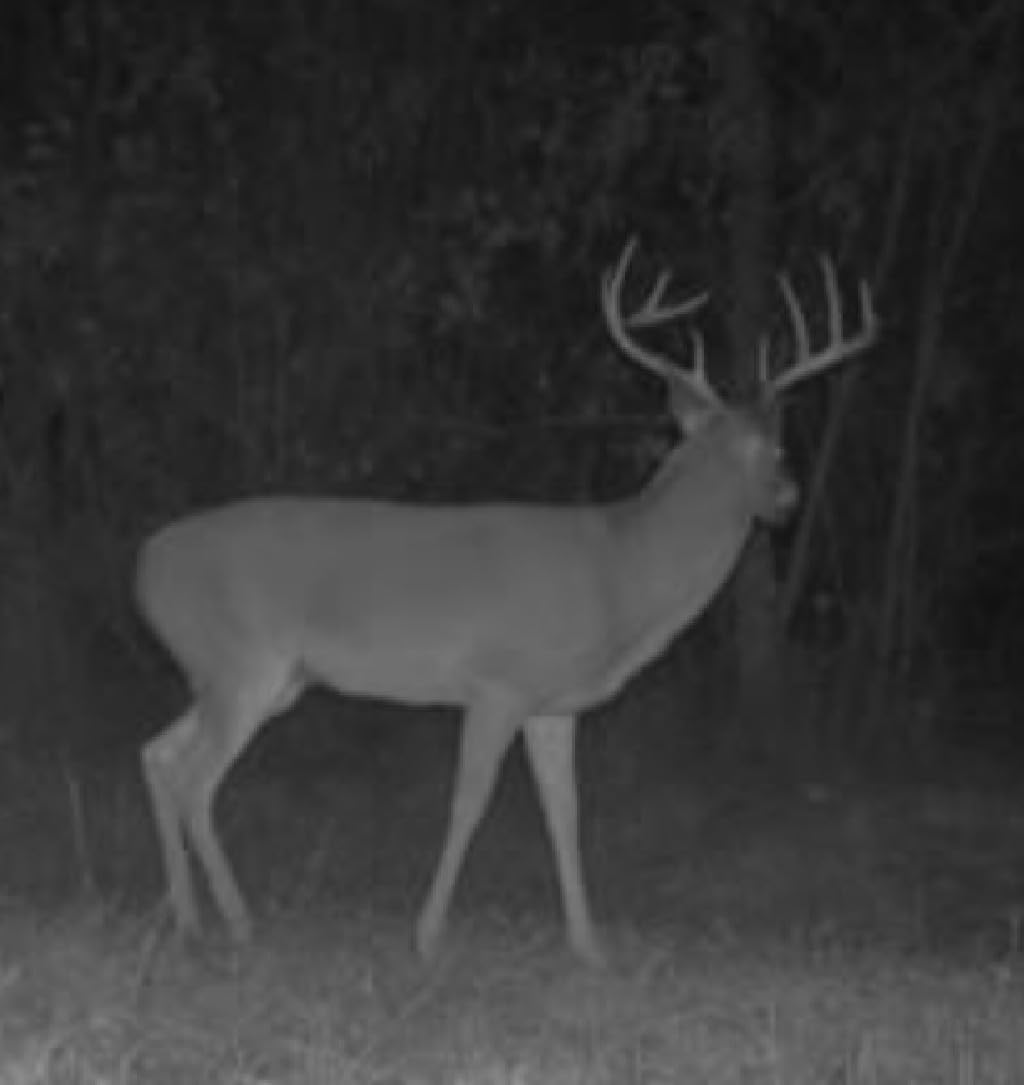 Moultrie Edge Cellular Trail Camera - 2-Pack, 33MP customer photo 1