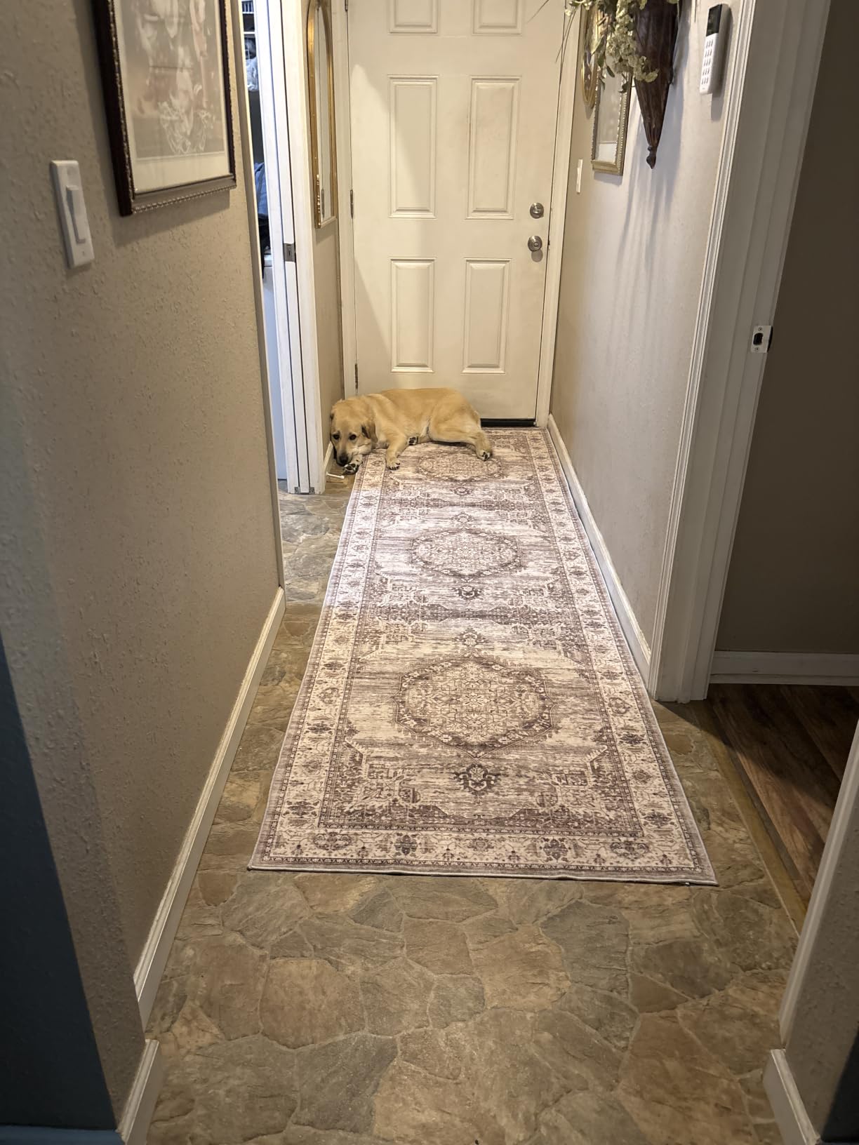 HY HAO YUN LAI Non Slip Runners for Hallways,Washable,Long Ultra Soft Kitchen Runner Rug,Non Shedding for Accent Farmhouse (Grey, 2 X 12) customer photo 1