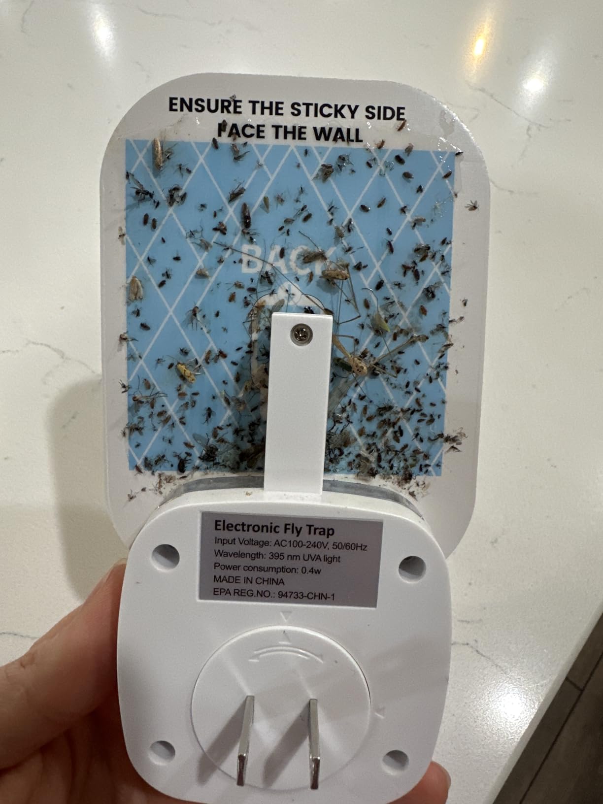 VEYOFLY Fruit Fly Traps Indoor Plug-in UV, Gnat Trap, 2 Device + 4 Refills customer photo 2