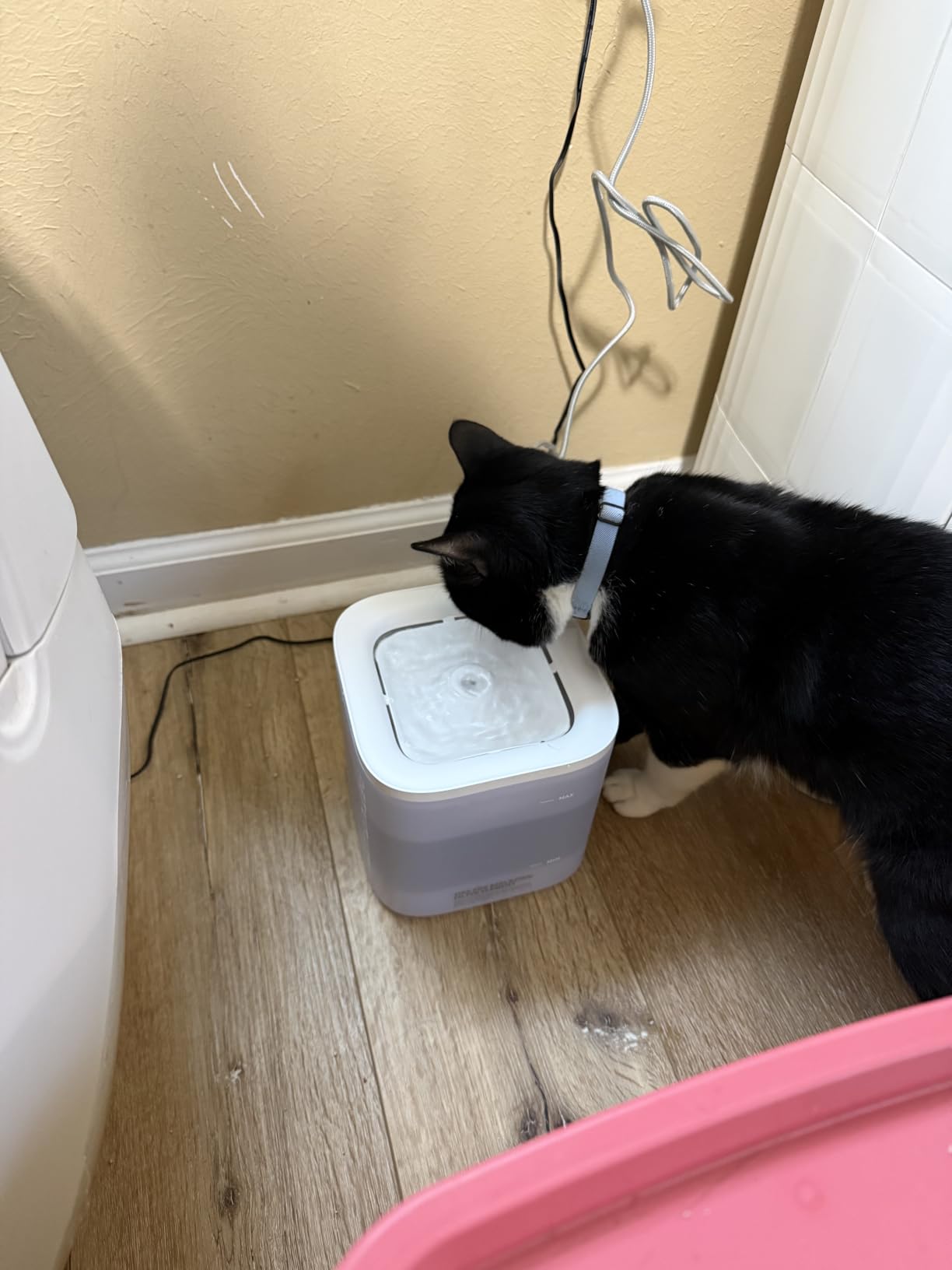 PETKIT Eversweet Solo SE Cat Water Fountain 65oz/1.85L Wireless Pump customer photo 1