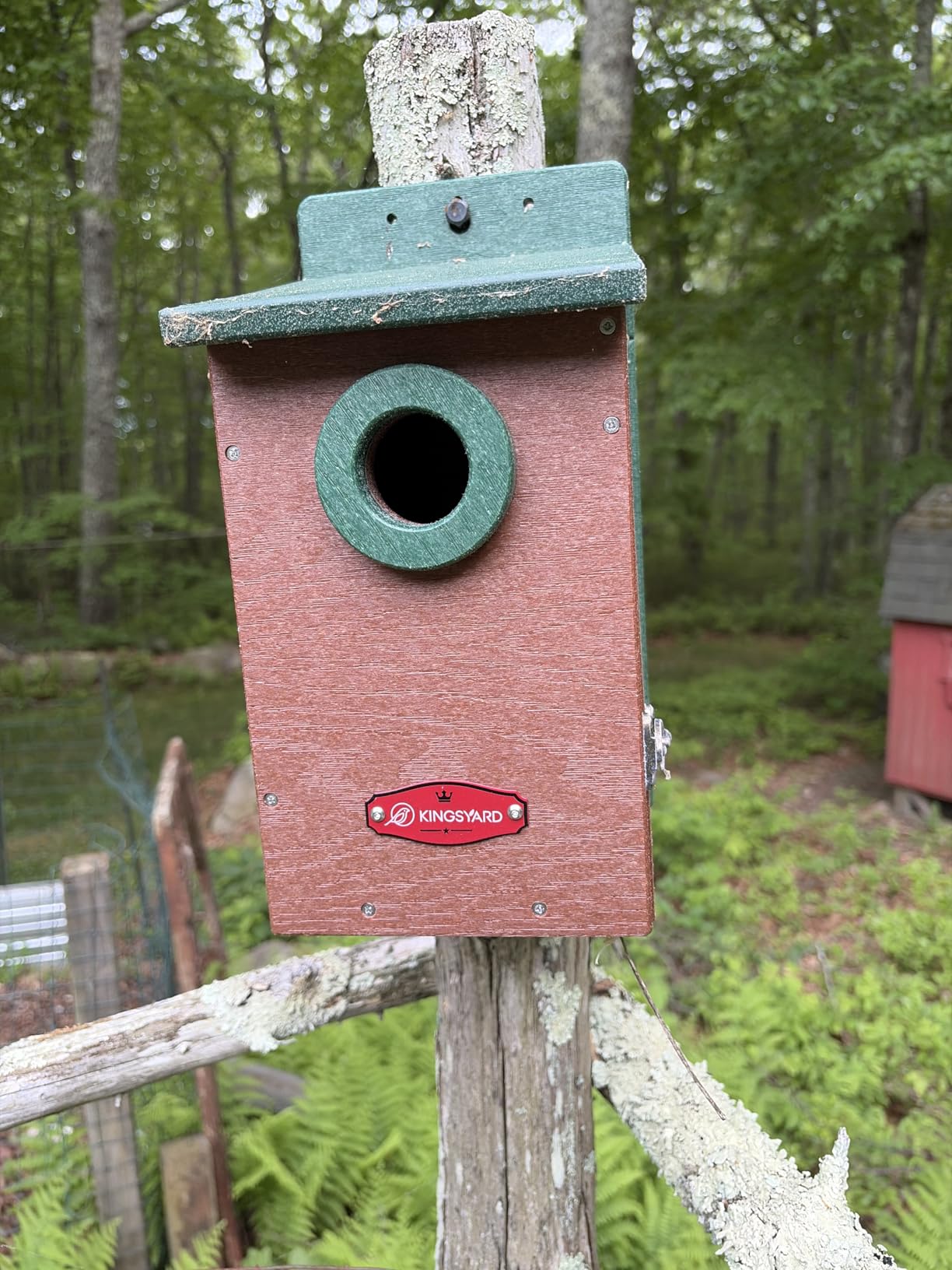 Kingyard Bluebird House, Outdoor Bird House with Predator Guard customer photo 2
