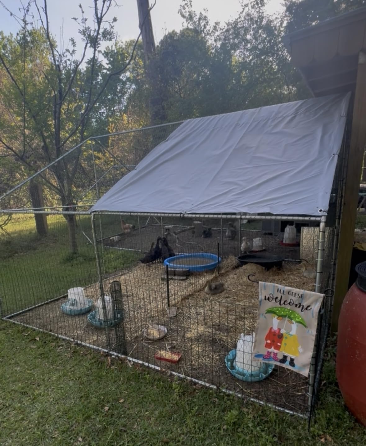 Aivituvin Chicken Coop Extension Design Chicken House for Duck Quail Poultry Hen Cage with Run and Two Nest Boxes(Coop) customer photo 1