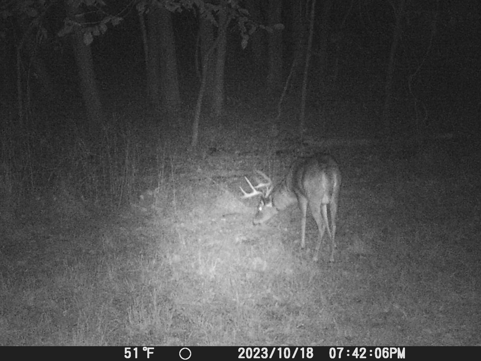 iZEEKER Trail Camera, HD Game Camera with 940nm No Glow Night Vision Motion Activated 0.2s Trigger Time, Hunting Camera No WiFi, IP66 Waterproof for Wildlife Monitoring Outdoor Security Deer Scouting customer photo 2
