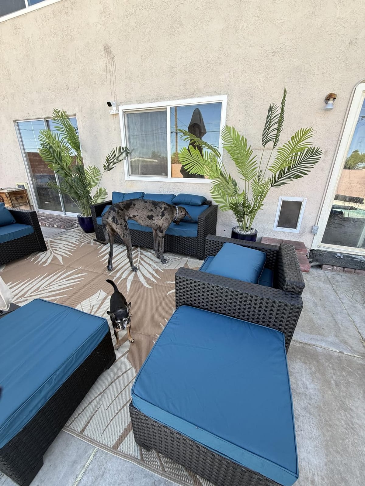 Rattaner Patio Furniture Set 6 Pieces Couch Outdoor Chairs Coffee Table Peacock Blue Anti-Slip Cushions and Waterproof Covers customer photo 1