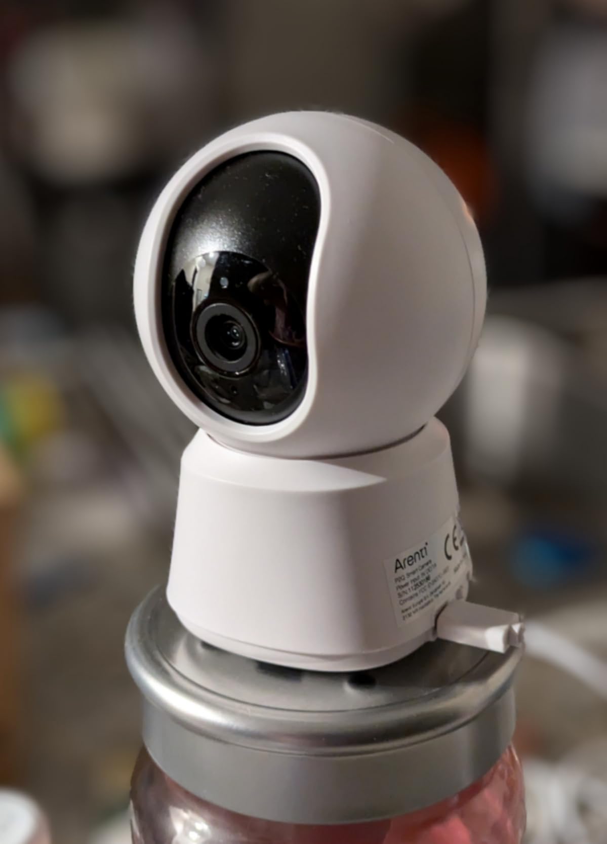 ARENTI 4MP Pet Camera P2Q, 5G WiFi 6 Indoor Security Camera, Free Phone App customer photo 1