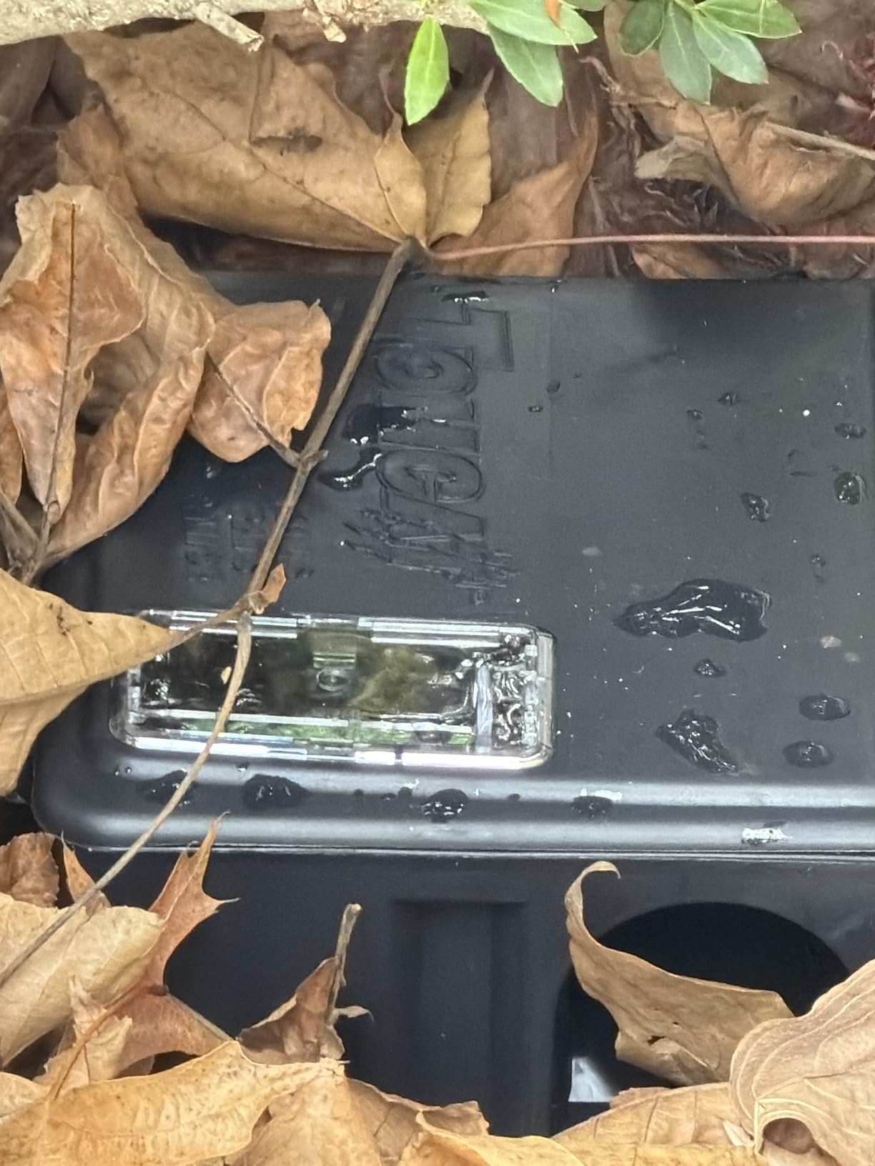 Tomcat Rat & Mouse Bait Station, 2 Packages Each with 1 Station & 15 Baits customer photo 1