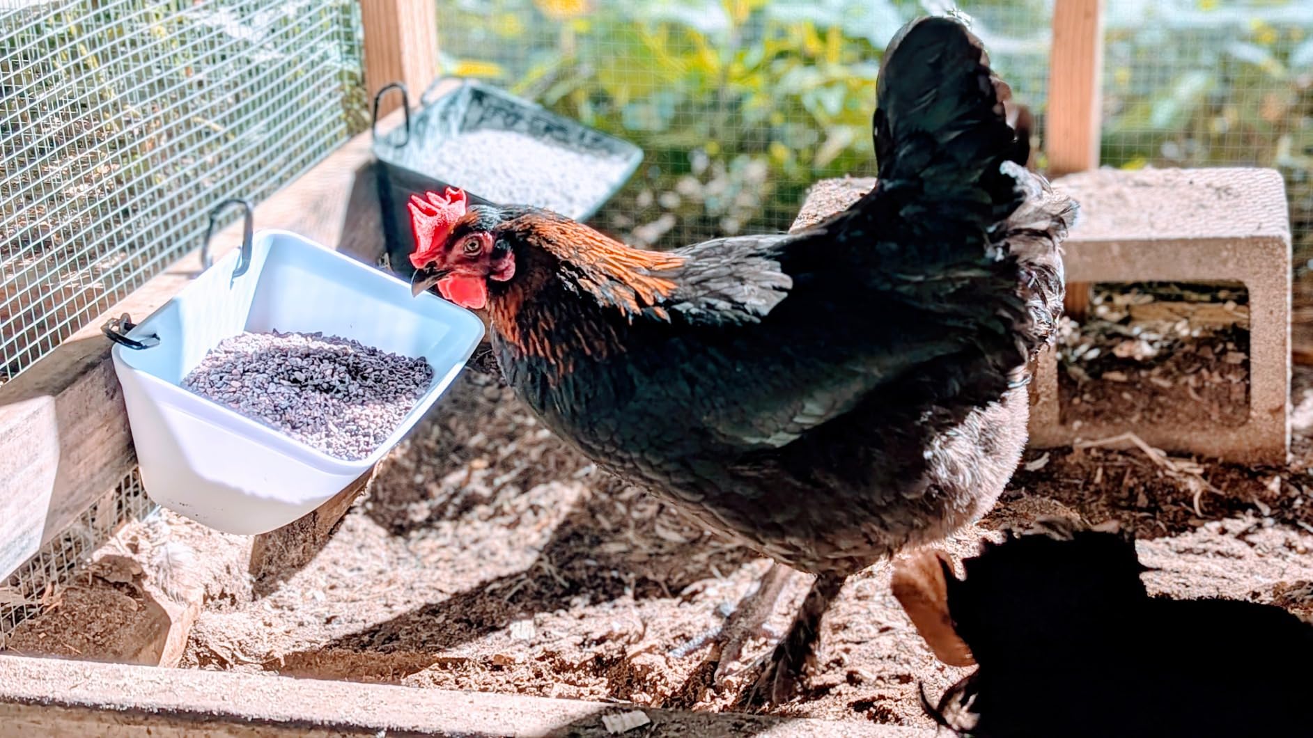 Hanging Chicken Feeder Trough for Goat Sheep Deer Poultry Duck Chicken Fence Feeder Livestock Feeding Container Goats Supplies Feeders Waterer Bucket customer photo 2