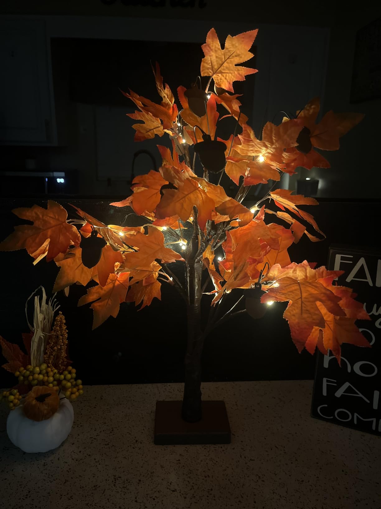 YEAHOME Fall Decorations for Home, Thanksgiving Decorations, 24”/2FT Lighted Fall Maple Leaves Tree with 24 LEDs for Autumn Decor, 12 Wood Acorns Ornaments Battery Powered Timer for Table Indoor customer photo 1