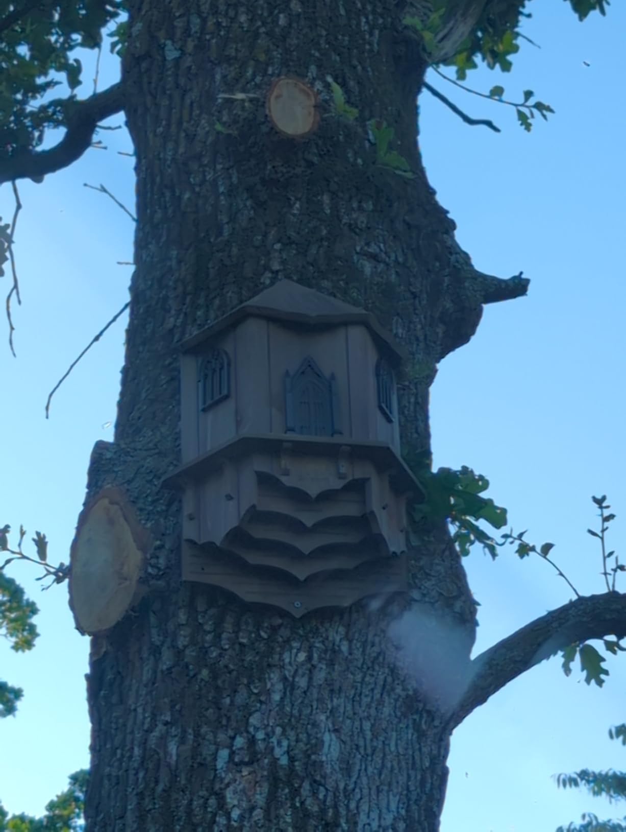 VIREESR Bat House for Outdoors, Castle 3-Chamber Bat Box, 100-Capacity customer photo 1