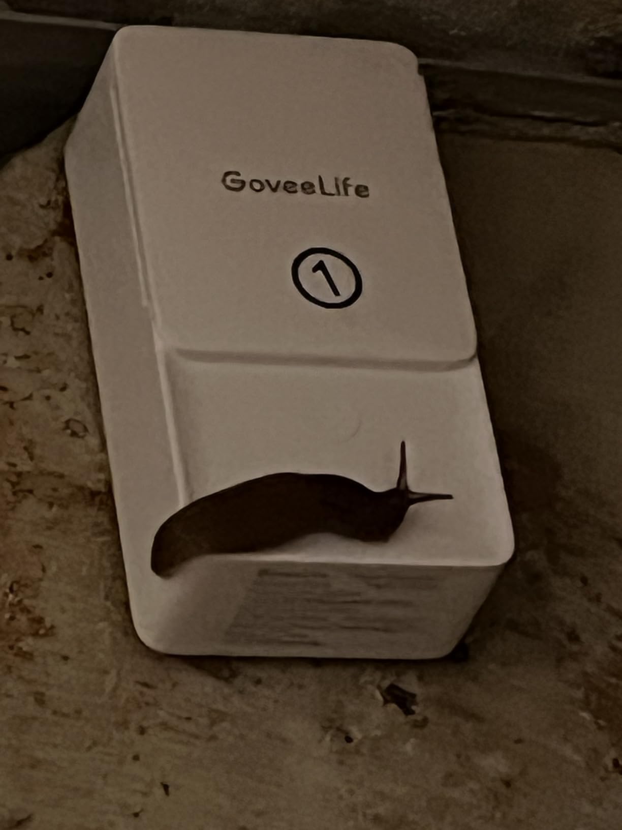 GoveeLife Smart Water Leak Detector 2 with 1968ft Ultra-Long Range, 4 Pack customer photo 2