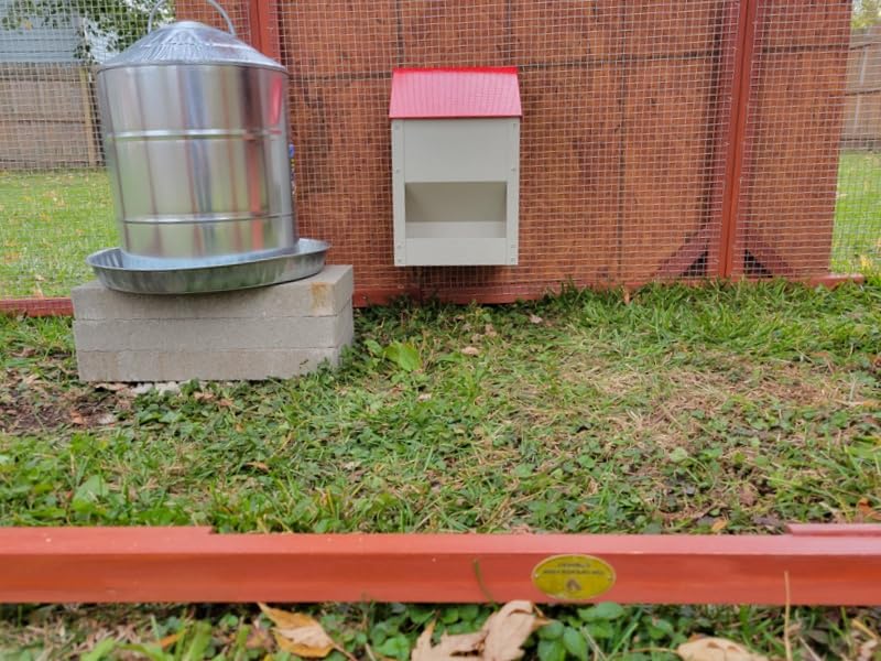 Galvanized Wall Mount Chicken Feeder No Waste Hanging Chicken Feeder with Lid Weatherproof Metal Automatic Poultry Feeder Trough Food Dispenser for Outside Coop (10 lbs) customer photo 1