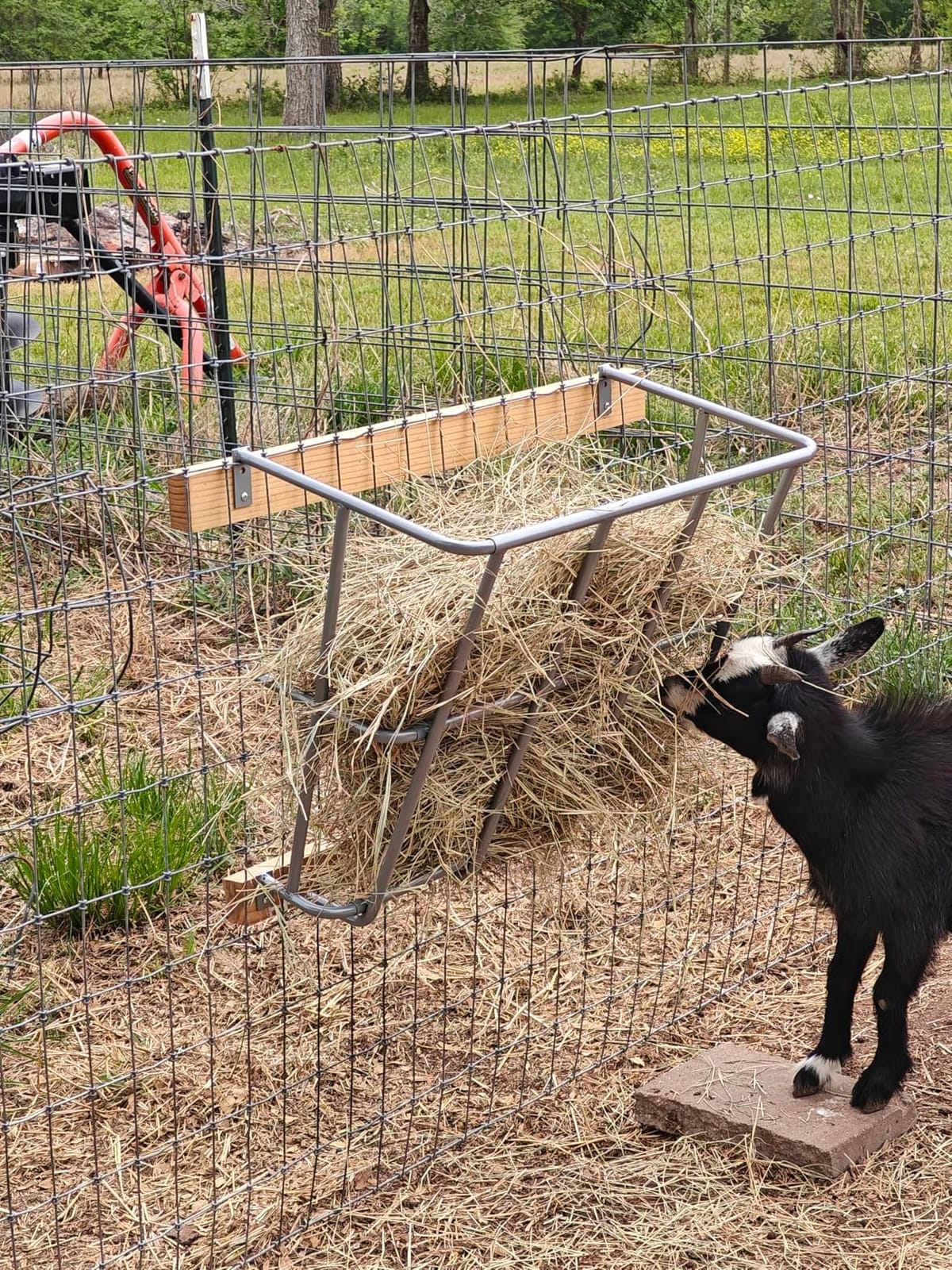 2 in 1 Hay Feeder Goat 22 Gallon | Multiple Sided Goat Hay Rack, Hay Rack for Sheep, Horses, with Detachable Grain Tray, Effortless Installation in Farm, Yield customer photo 1