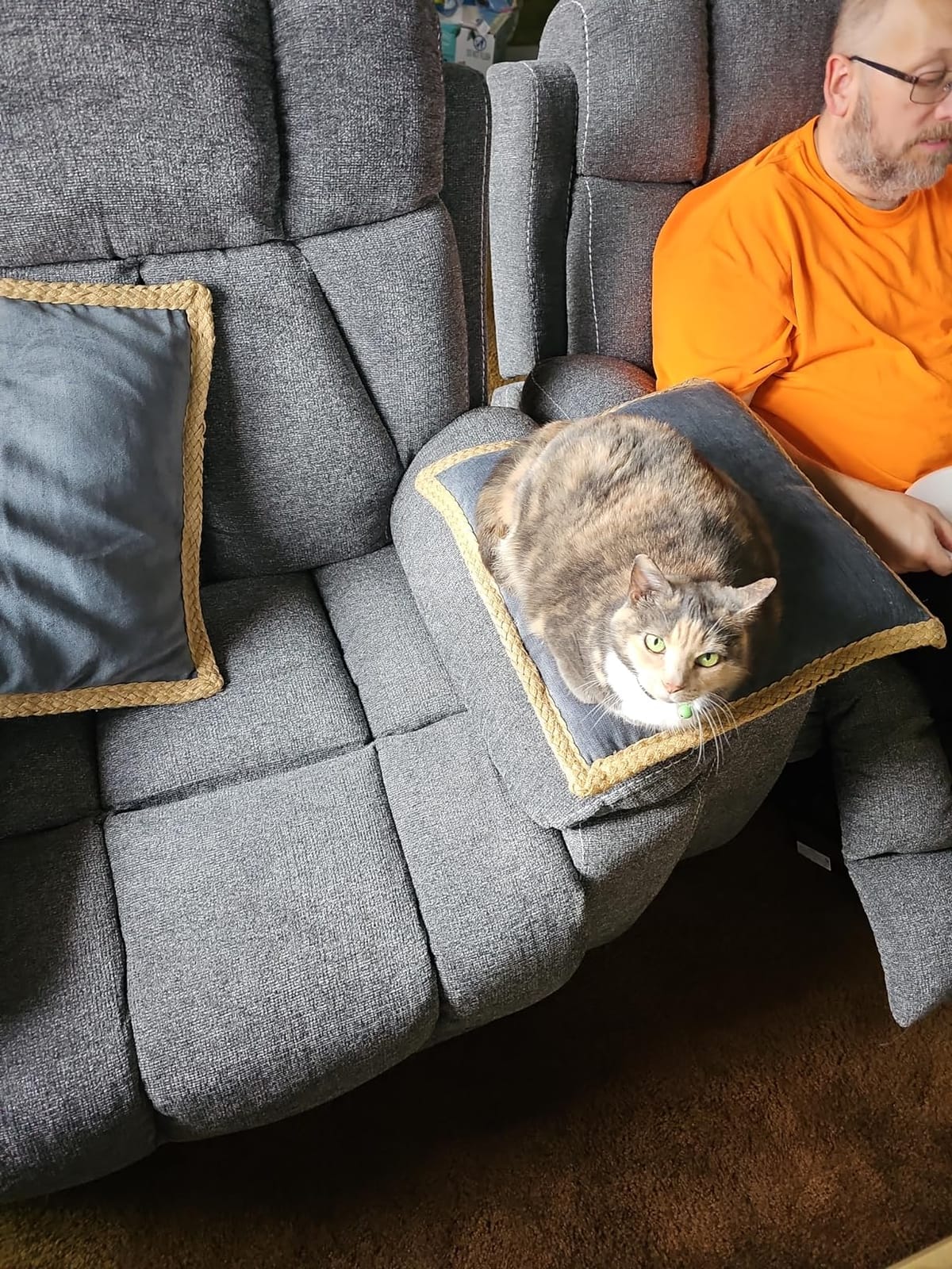 CANMOV Power Lift Recliner Chair for Elderly, Lift Chair with Massage Heat customer photo 1
