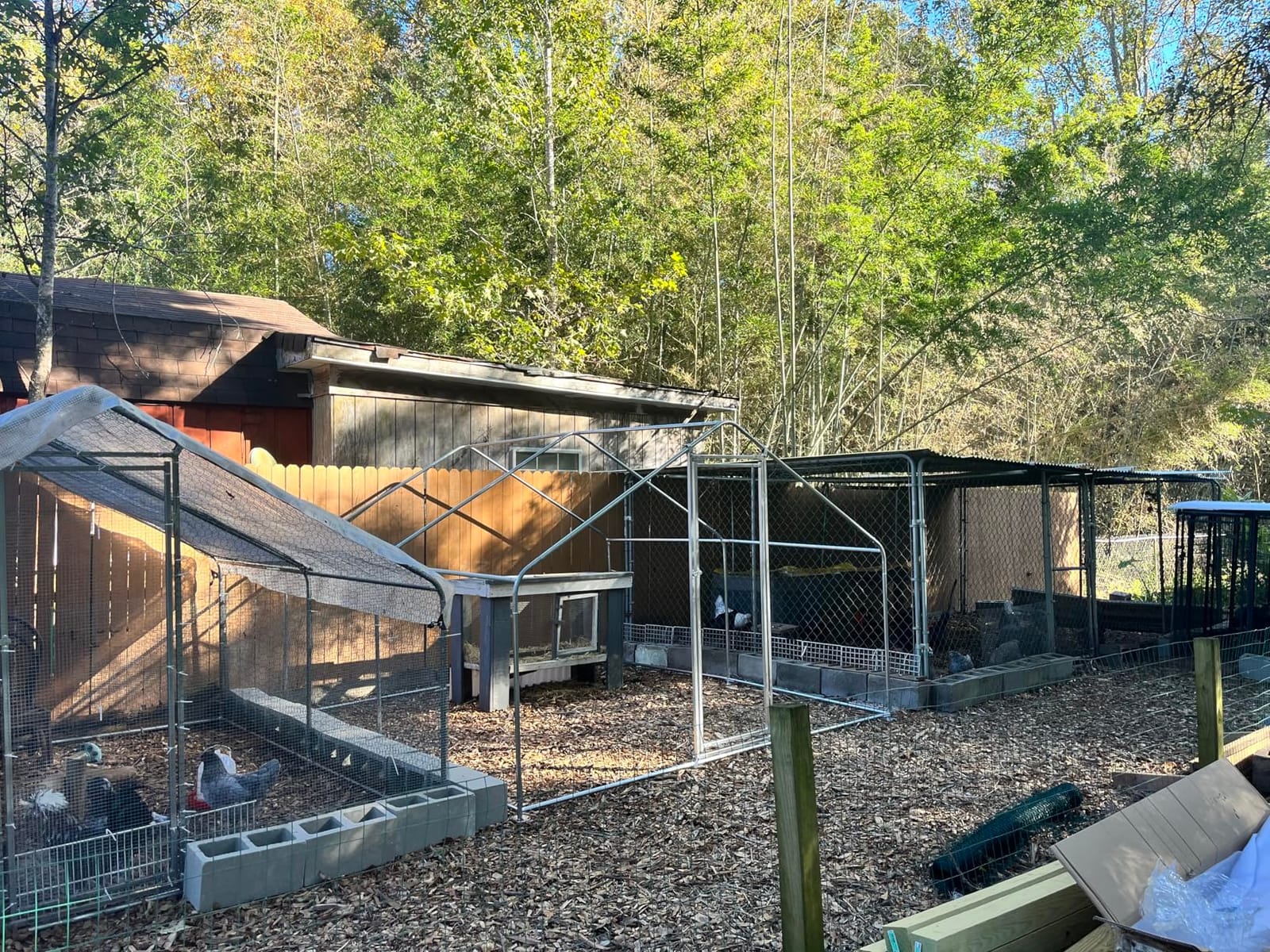 Walk-in Metal Chicken Coop 9.8x6.5x6.5 ft, Waterproof Cover, PVC Wire Mesh customer photo 1