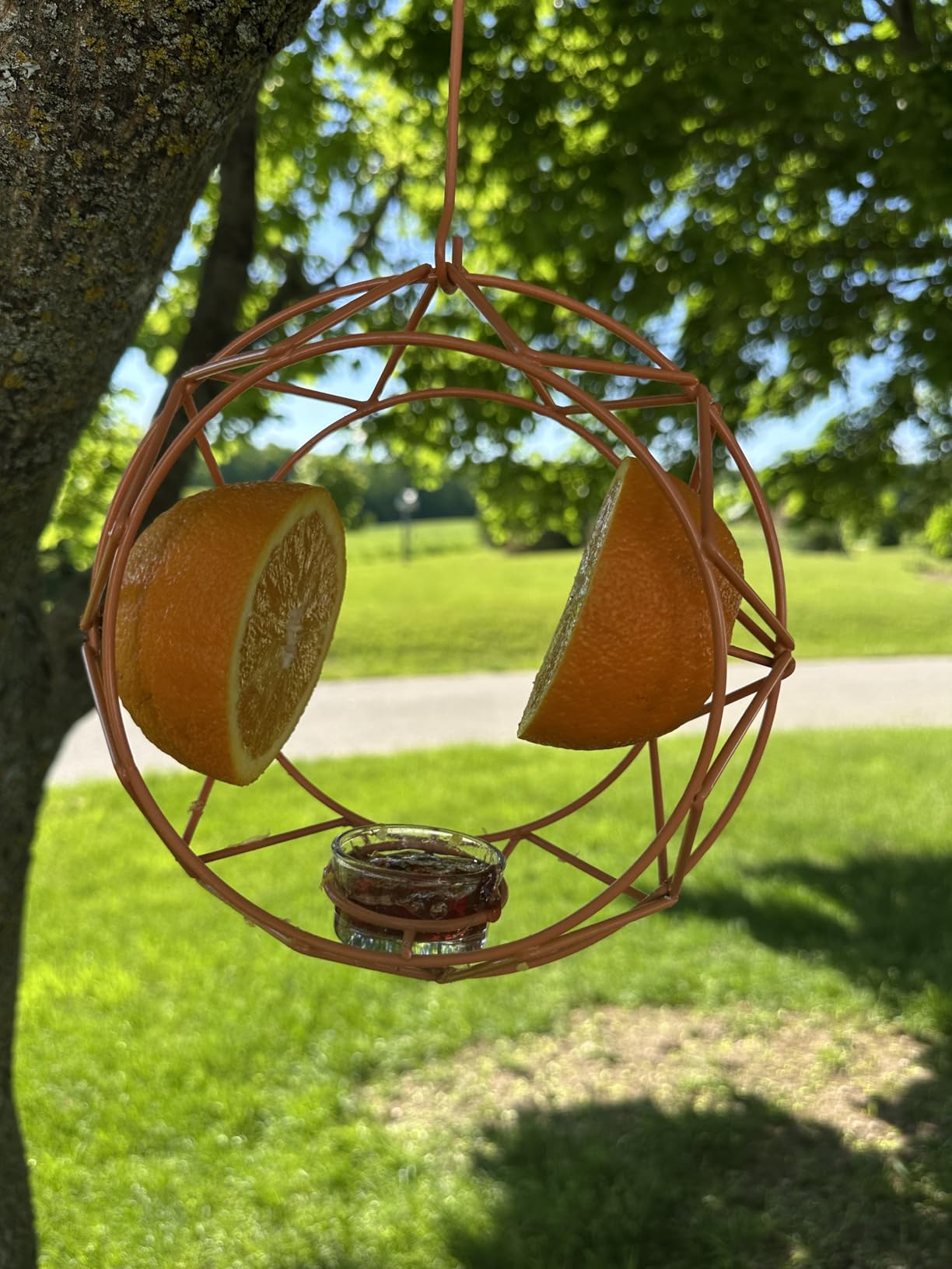 MEKKAPRO Sun Baltimore Oriole Feeders for Outdoors, 2Cups Metal Bird Feeder customer photo 2