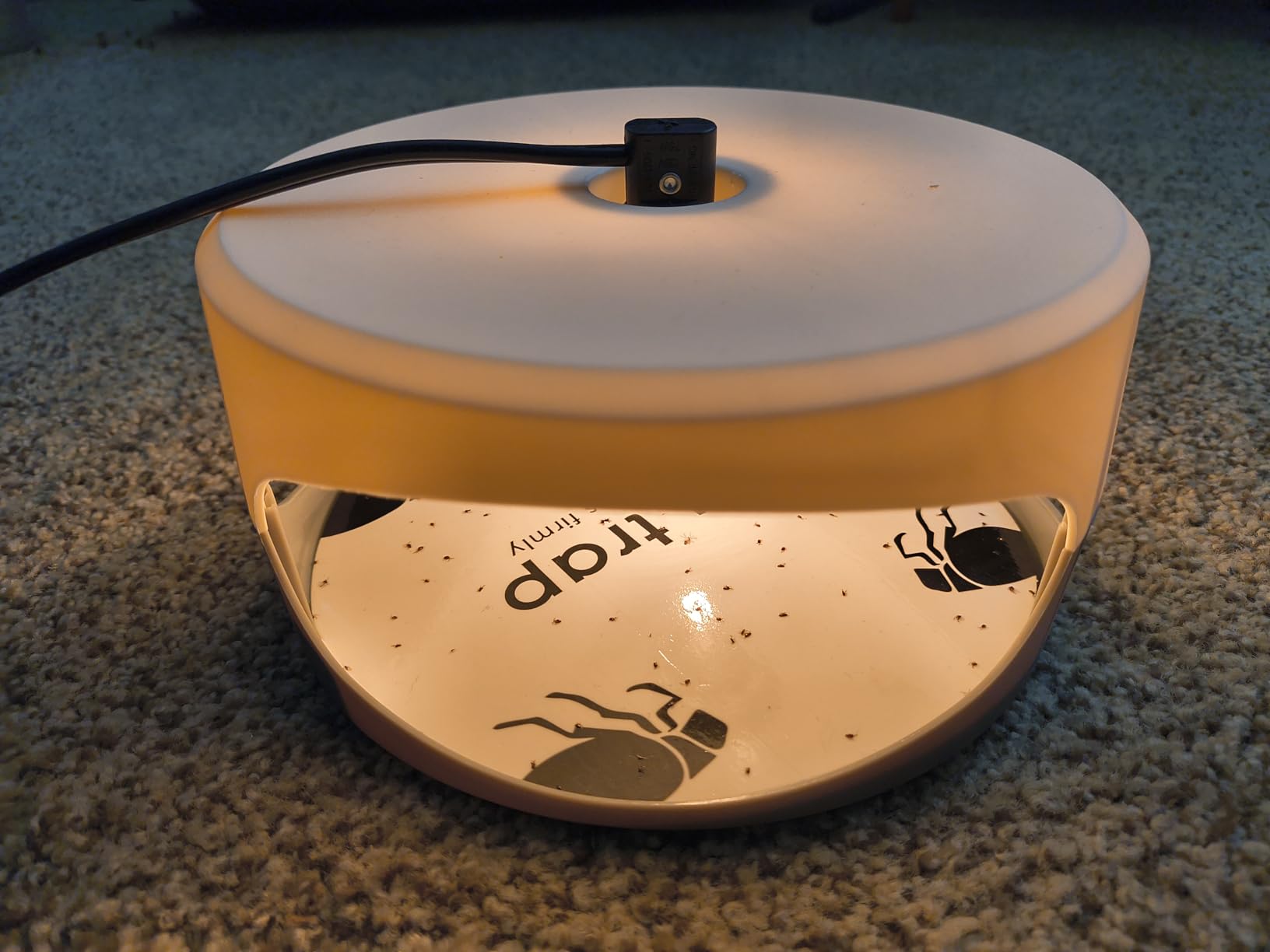 Flea Trap for Inside Your Home 2 Packs - Premium Electric Flea Traps, Natural and Child-Friendly Indoor Flea Control for Home & Garage with 5 Glue Disc Refills and 5 Lightbulbs customer photo 1