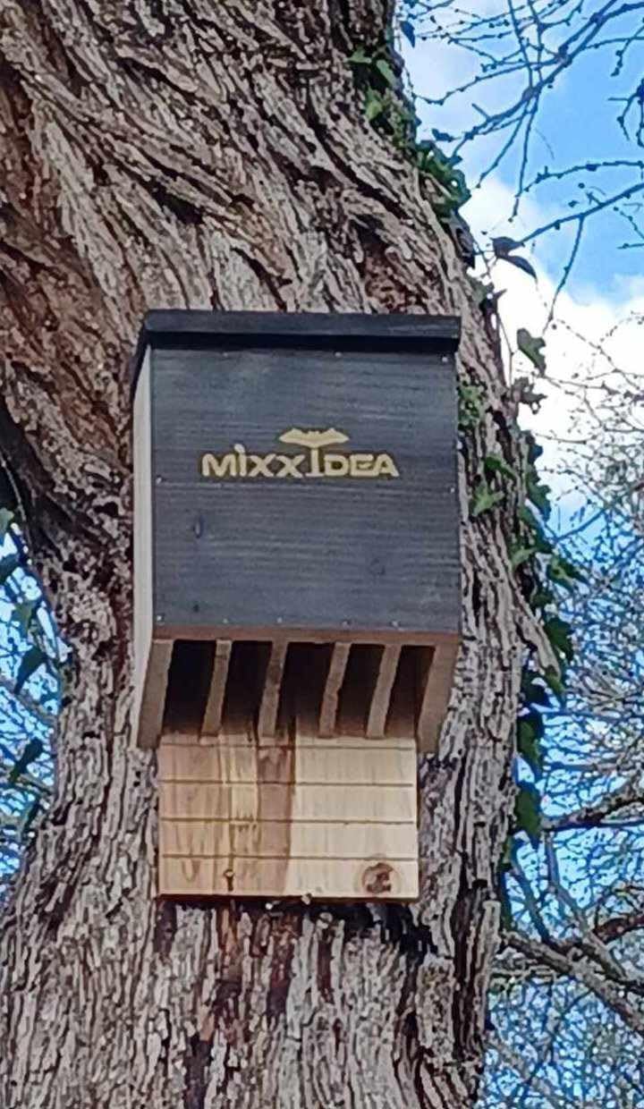 MIXXIDEA Bat House Bat Box Double Chamber Outdoor House Nursery Bat Shelter Habitat Big bat Box Handcrafted from Cedar Wood - Easy for Bats to Land and Roost - Weather Resistant & Ready to Install customer photo 2