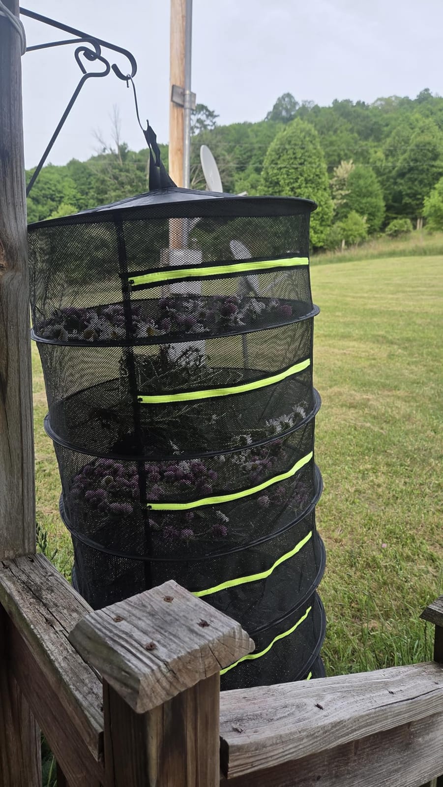 MEKOLIFE 6-Layer Herb Drying Rack with Collapsible Mesh Design customer photo 1