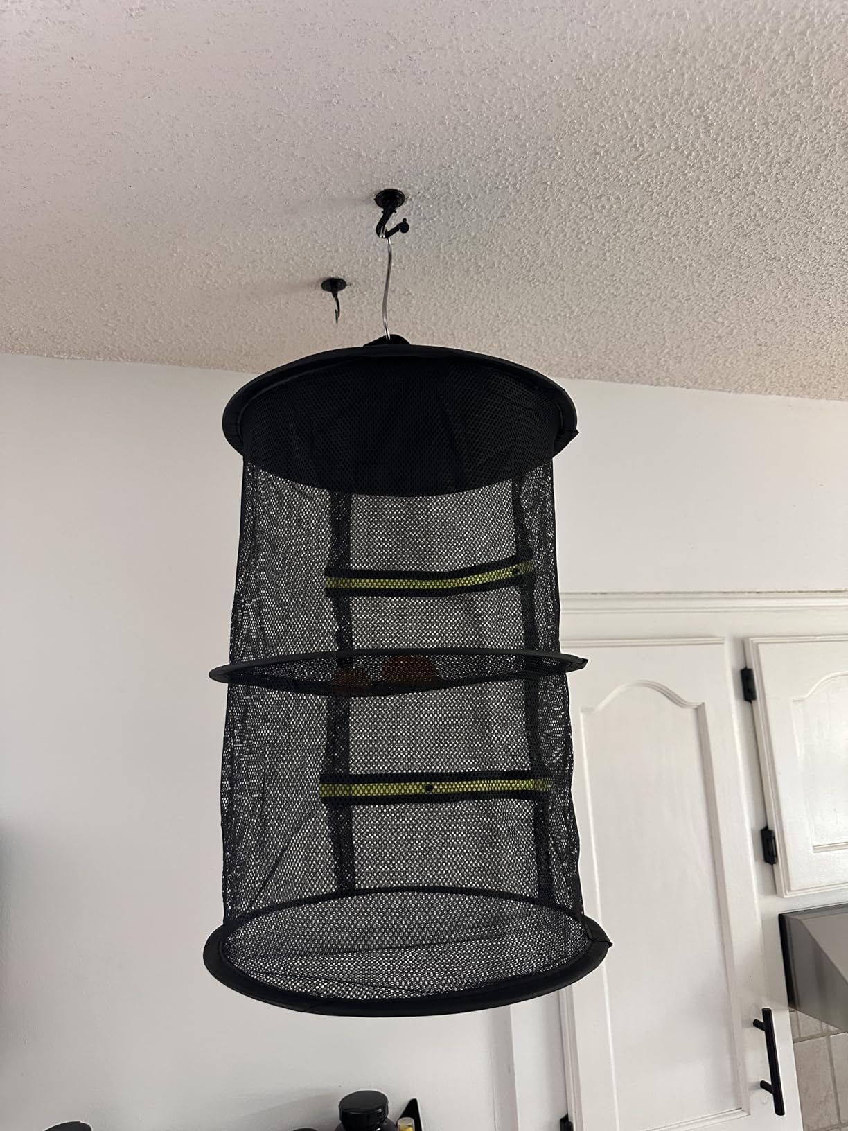 MEKOLIFE 6-Layer Herb Drying Rack with Collapsible Mesh Design customer photo 2