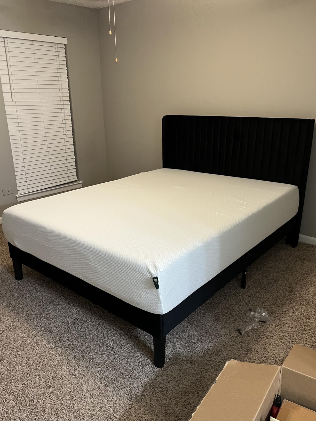 Zinus Memory Foam 12 Inch Green Tea Mattress, King, White customer photo 2