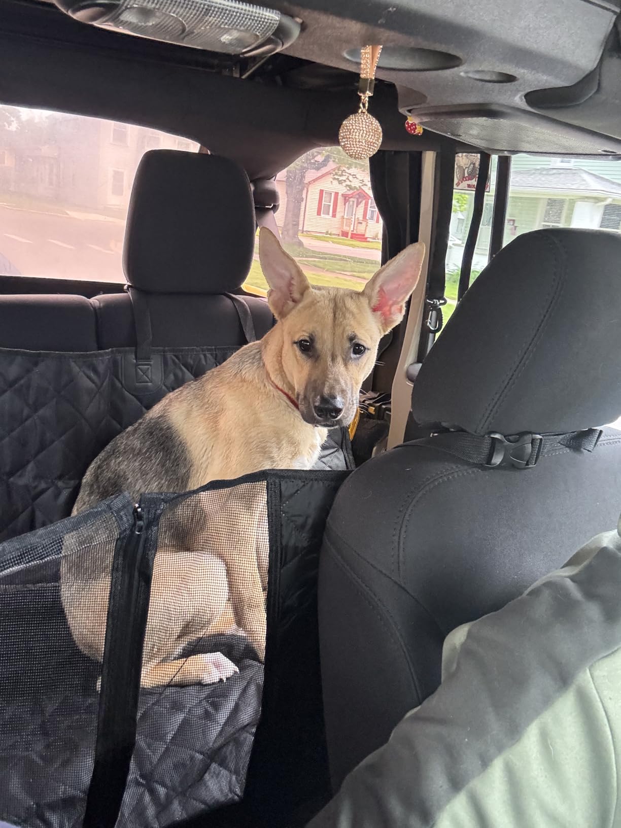 Dog Car Seat Cover, 600D Heavy Dute Car Seat Cover for Dogs Pets, 100% Waterproof Anti-Scratch Nonslip Dog Hammock for Cars, Seat Covers Protector with SeatBelt for Sedan SUV Truck Standard Black customer photo 1