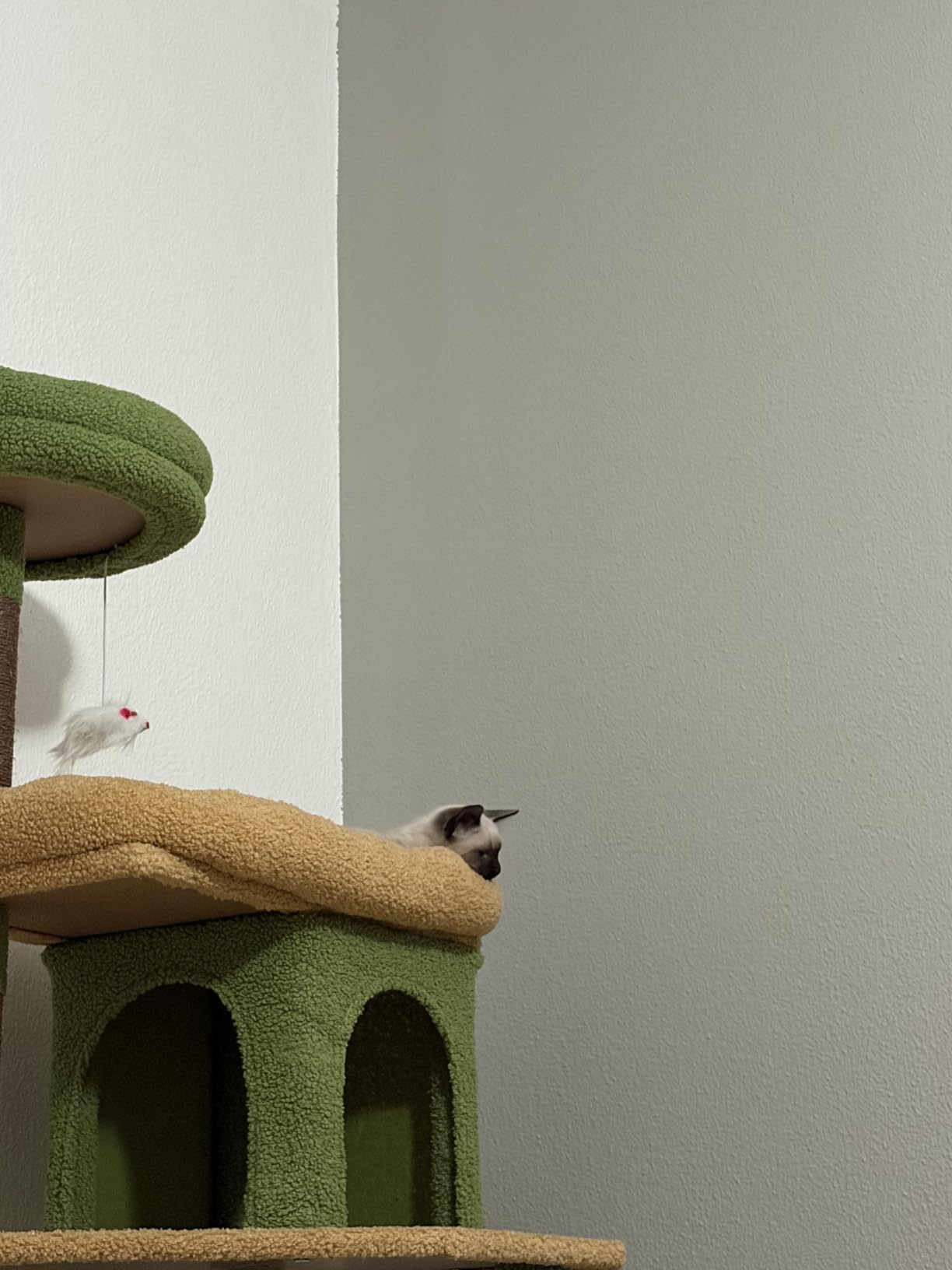 Globlazer S72 Heavy Duty Cat Trees for Large Cats 20 lbs+, Dark Gray customer photo 1