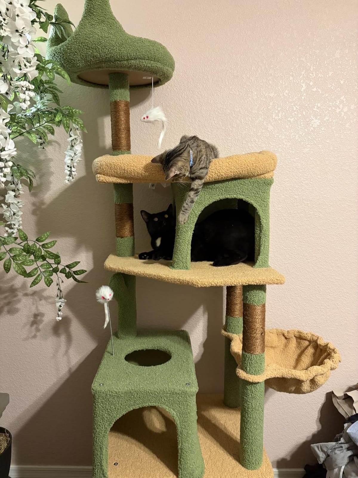 Globlazer S72 Heavy Duty Cat Trees for Large Cats 20 lbs+, Dark Gray customer photo 2