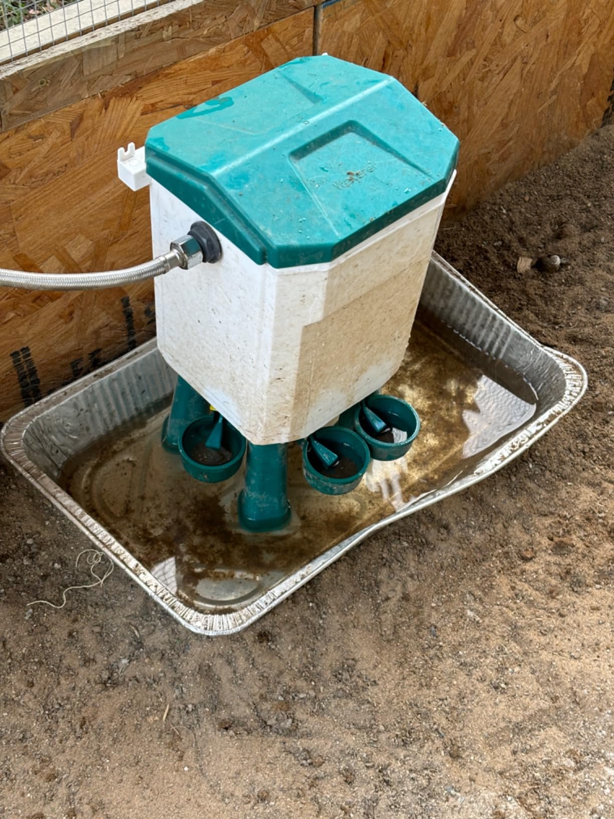 Lilyang Automatic Chicken Waterer, Auto Water Refills customer photo 1