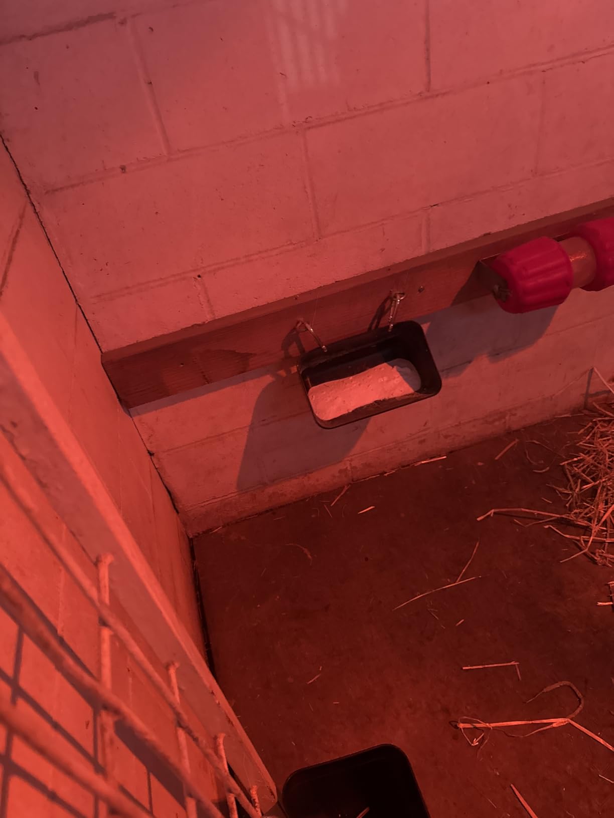 Goat Feeders Hanging Poultry Feeder Trough for Livestock, 6*3.5 Quart Black customer photo 2
