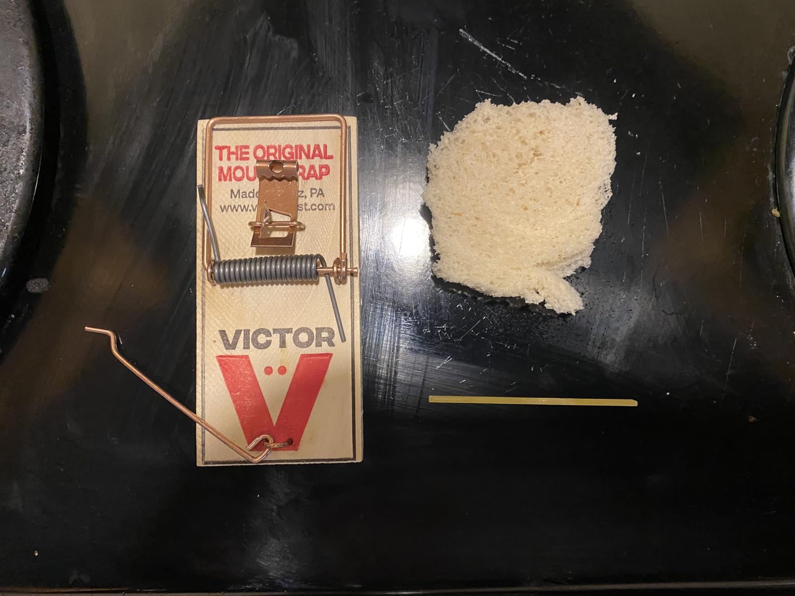 Victor Metal Pedal Mouse Traps, 12-Pack, Reusable Wooden Snap Traps customer photo 1