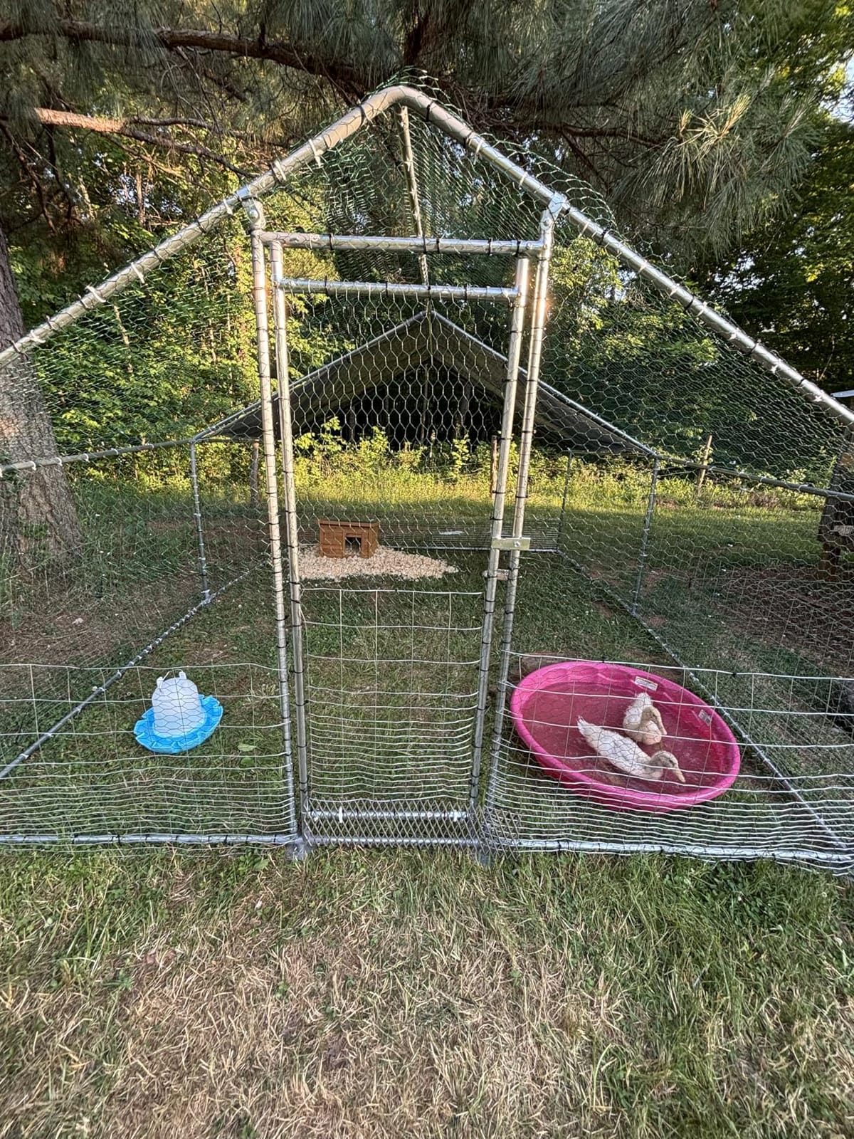 NUGRIART Large Metal Chicken Coop Walk-in Poultry Cage with Water-Resident and Anti-UV Cover Duck Rabbit Cat House Outdoor Chicken Run Pen with Spire Shaped Cage customer photo 2