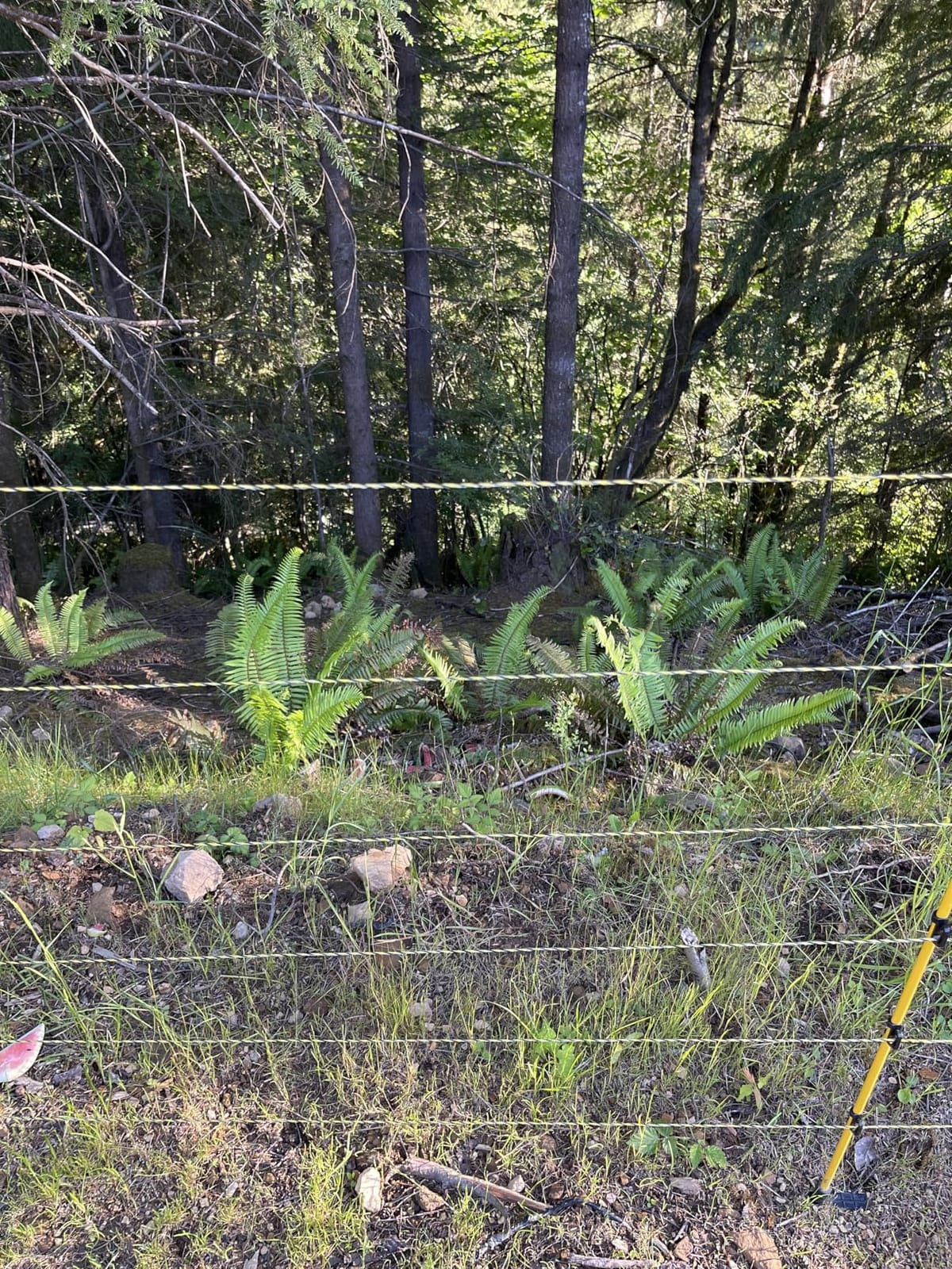 Upgraded Electric Fence Polywire 5050 Feet 1540 Meters, 6 Stainless Steel Strands for Reliable Conductivity and Rust Resistance, Portable Electric Fencing,UV, Rust Resistant customer photo 2