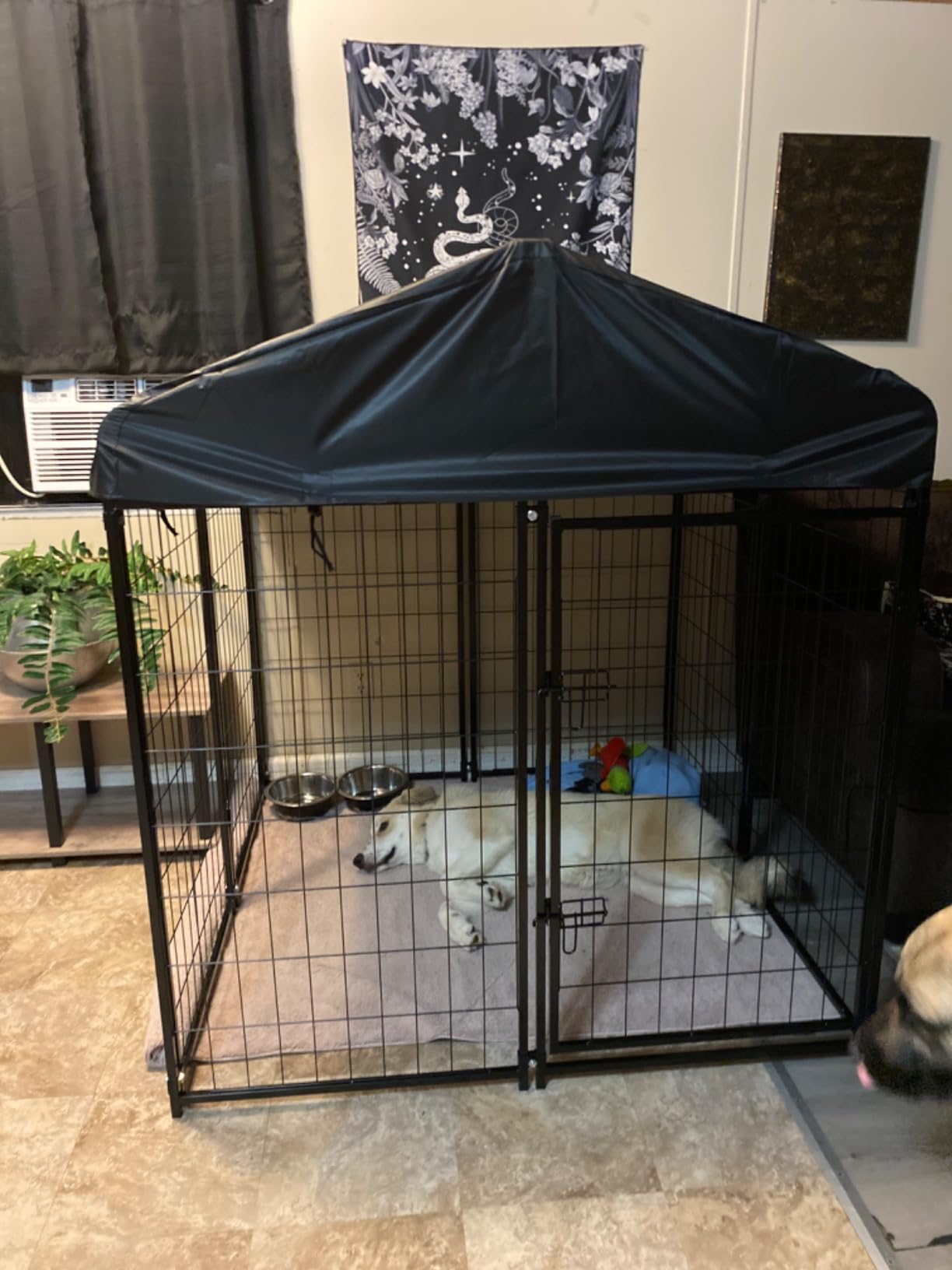 Dog Kennel Outside with Roof, 8'x6'x4' Outdoor Dog Kennel customer photo 1