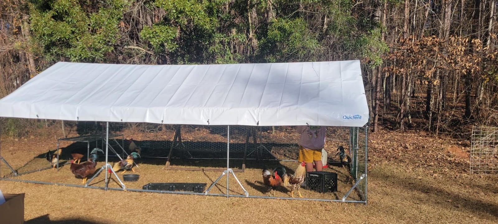 Quictent Large Metal Chicken Coop Run for 30+ Poultry w/Side Hardware Cloth customer photo 1