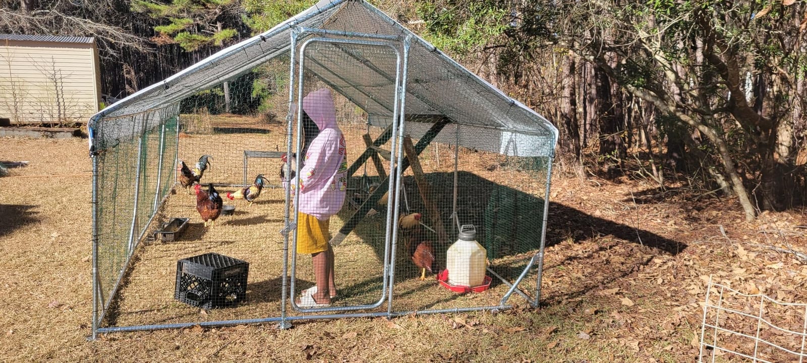 Quictent Large Metal Chicken Coop Run for 30+ Poultry w/Side Hardware Cloth customer photo 2
