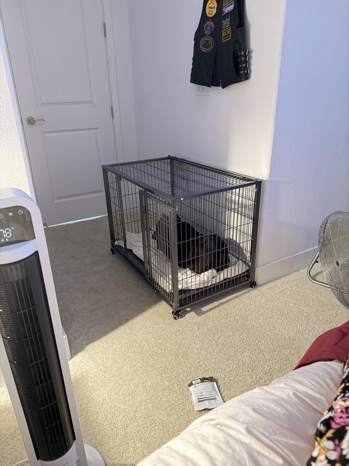 BOLDBONE 54 inch Heavy Duty Indestructible and Escape-Proof Dog Crate Cage Kennel for Large Dogs, High Anxiety Dog Crate with Removable Wire Trays and Wheels, Extra Large XL XXL, Black customer photo 2