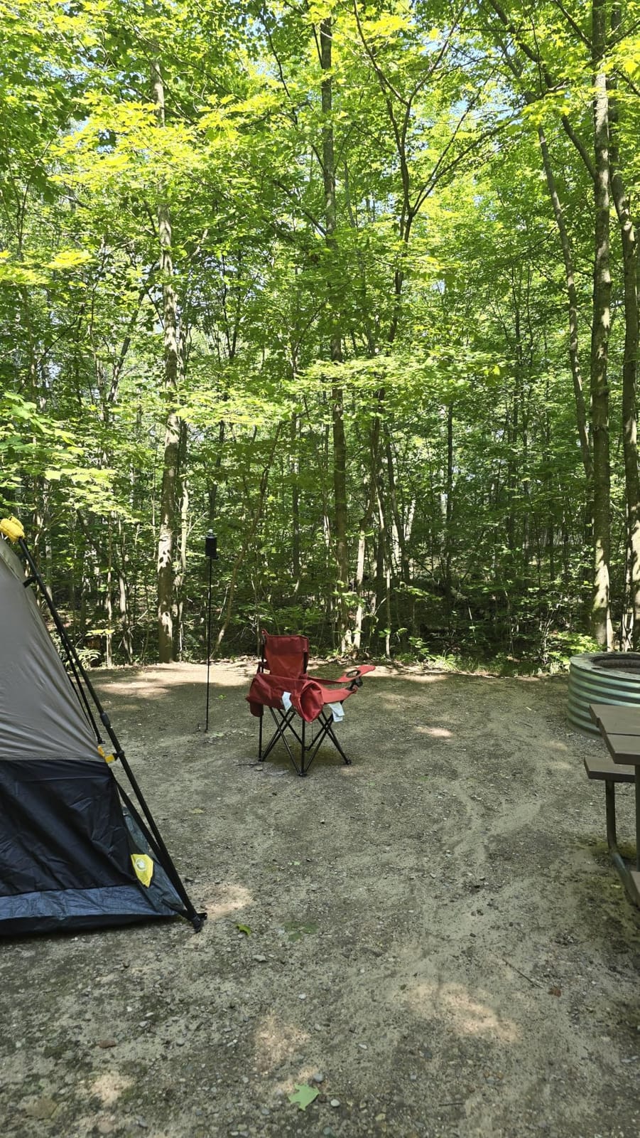 FanttikOutdoor 4/6/8/10 Person Instant Tent for Camping Setup in 60s customer photo 1