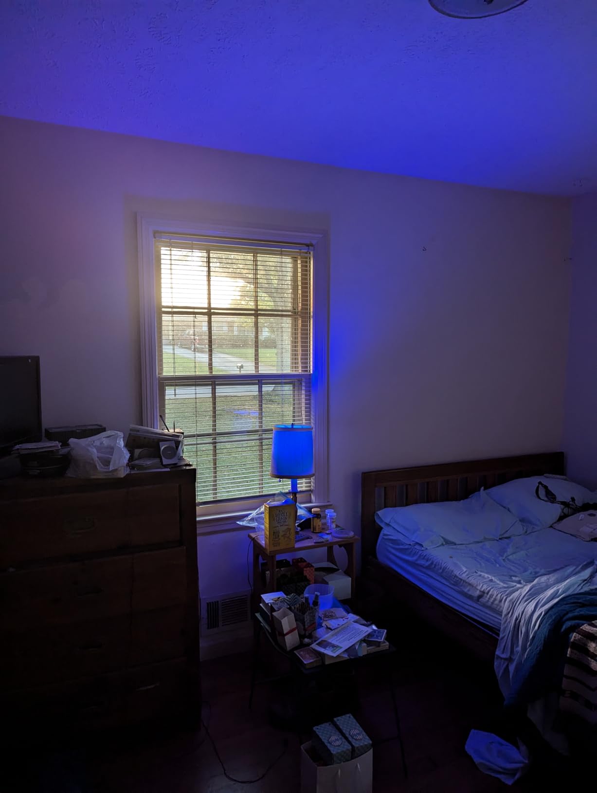 Tapo Multicolor Dimmable Smart Light Bulbs, L531E, A19 E26, 800LM customer photo 1