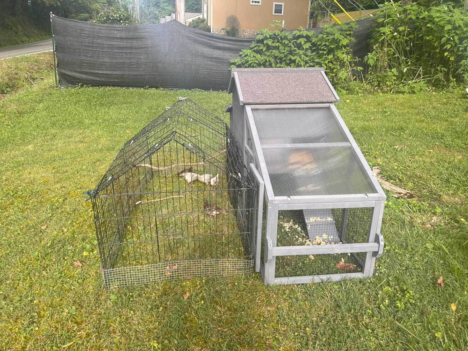 Aivituvin Chicken Coop Mobile Hen Coop, Large Poultry Cage with Wheels Outdoor Backyard Chicken House customer photo 1