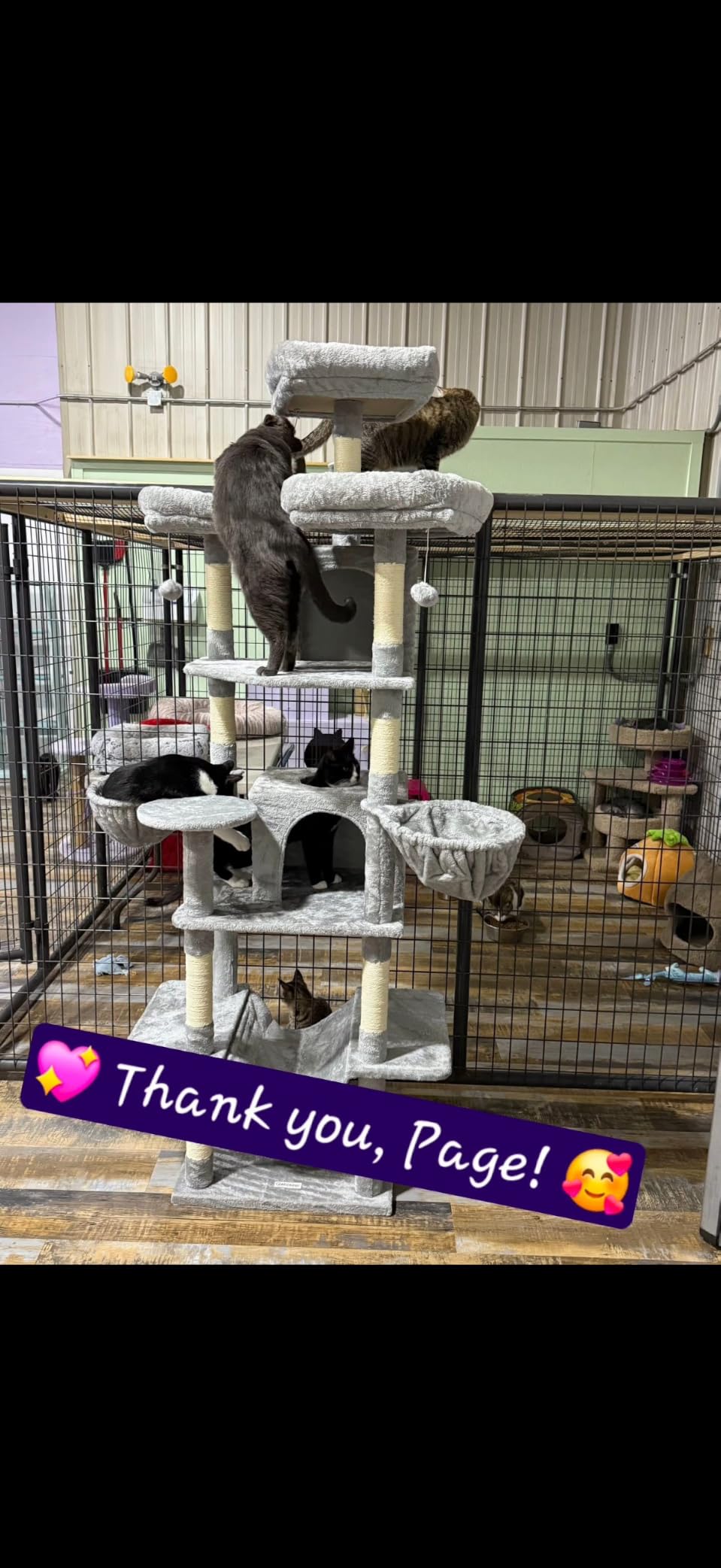 Globlazer Big XXL Cat Tower for Indoor Multiple Cats, F80, Dark Grey customer photo 2