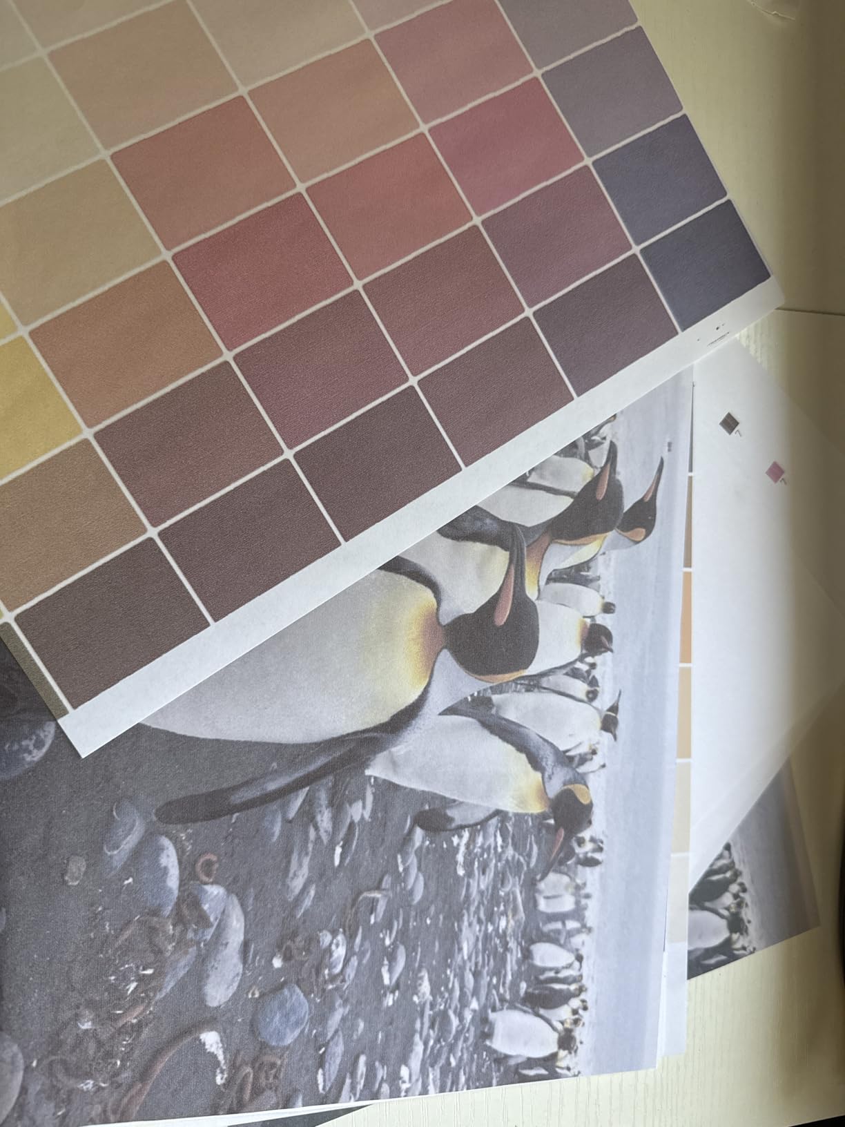 Pinckney Cartridge-Free Super-Tank Printer with Sublimation Ink Bundle for Heat Transfers, Easy Fill, Built-in Scanner & Copier and Printing up to 13 x 19 Inches (Wide Format) customer photo 2