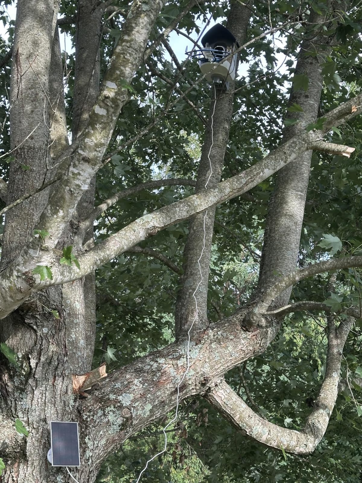 Fazoxo Bird Feeder with Camera,Birds House Camera,Solar Powered,AI Bird ID customer photo 1