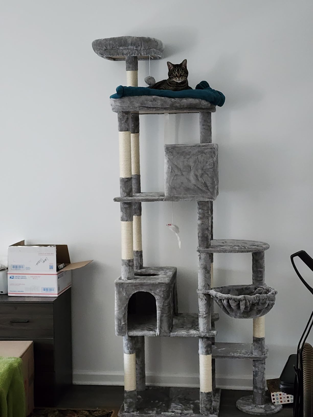 Globlazer Giant Cat Tree for Indoor Large Cats, 83in, F83, Dark Grey customer photo 1